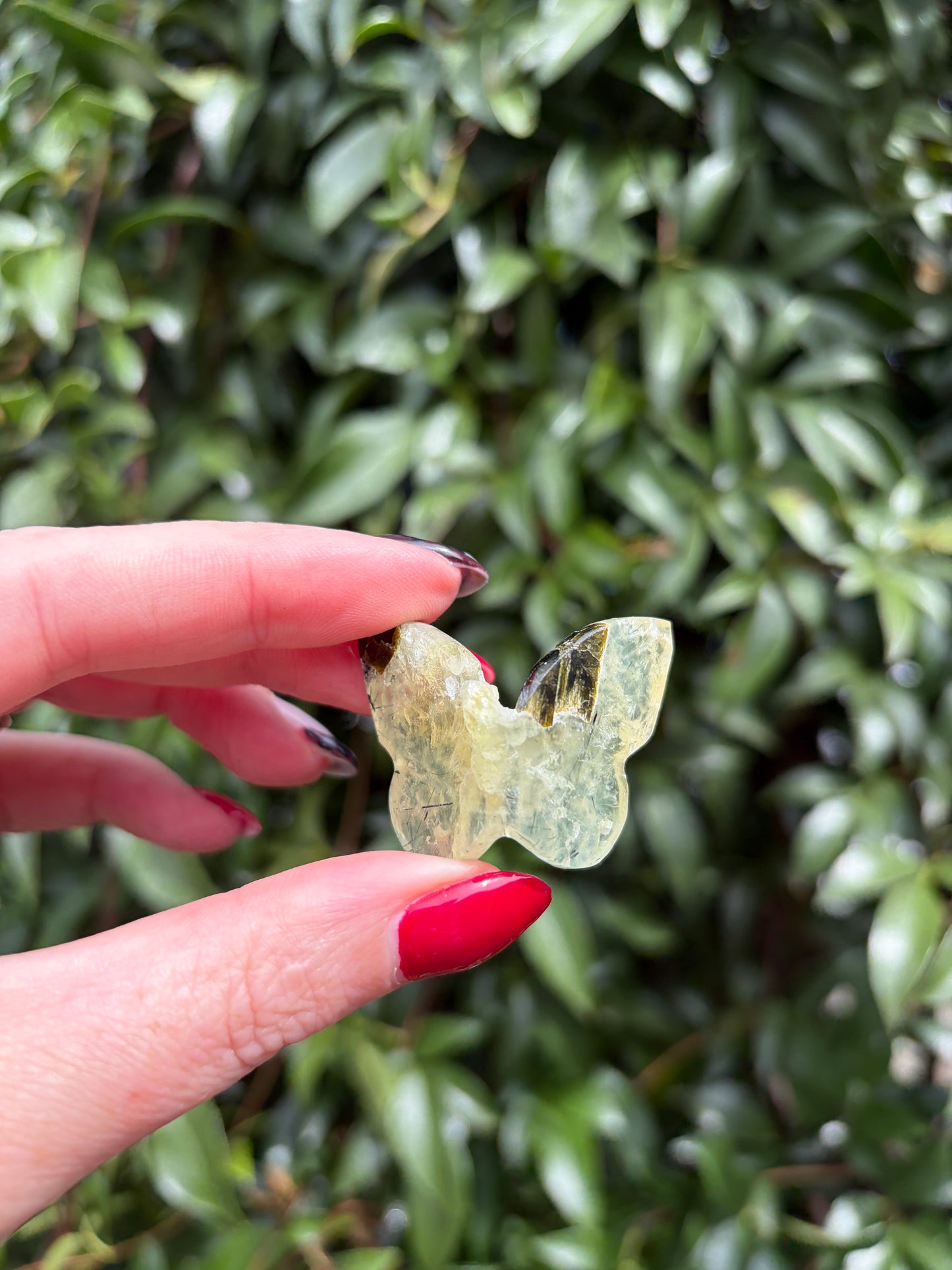 Prehnite 3D Medium Butterfly C