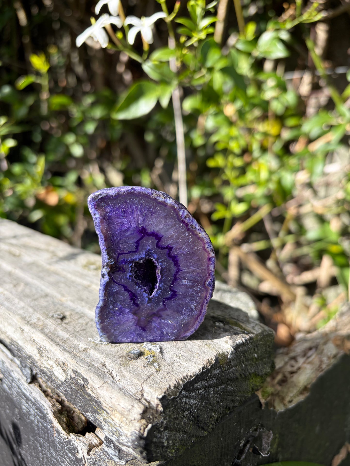 Purple Agate Geode A
