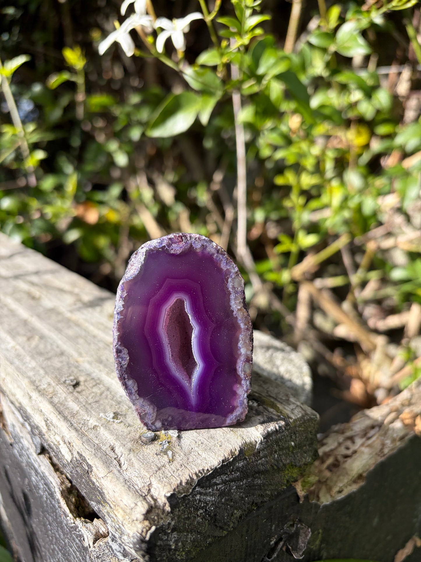 Purple Agate Geode E