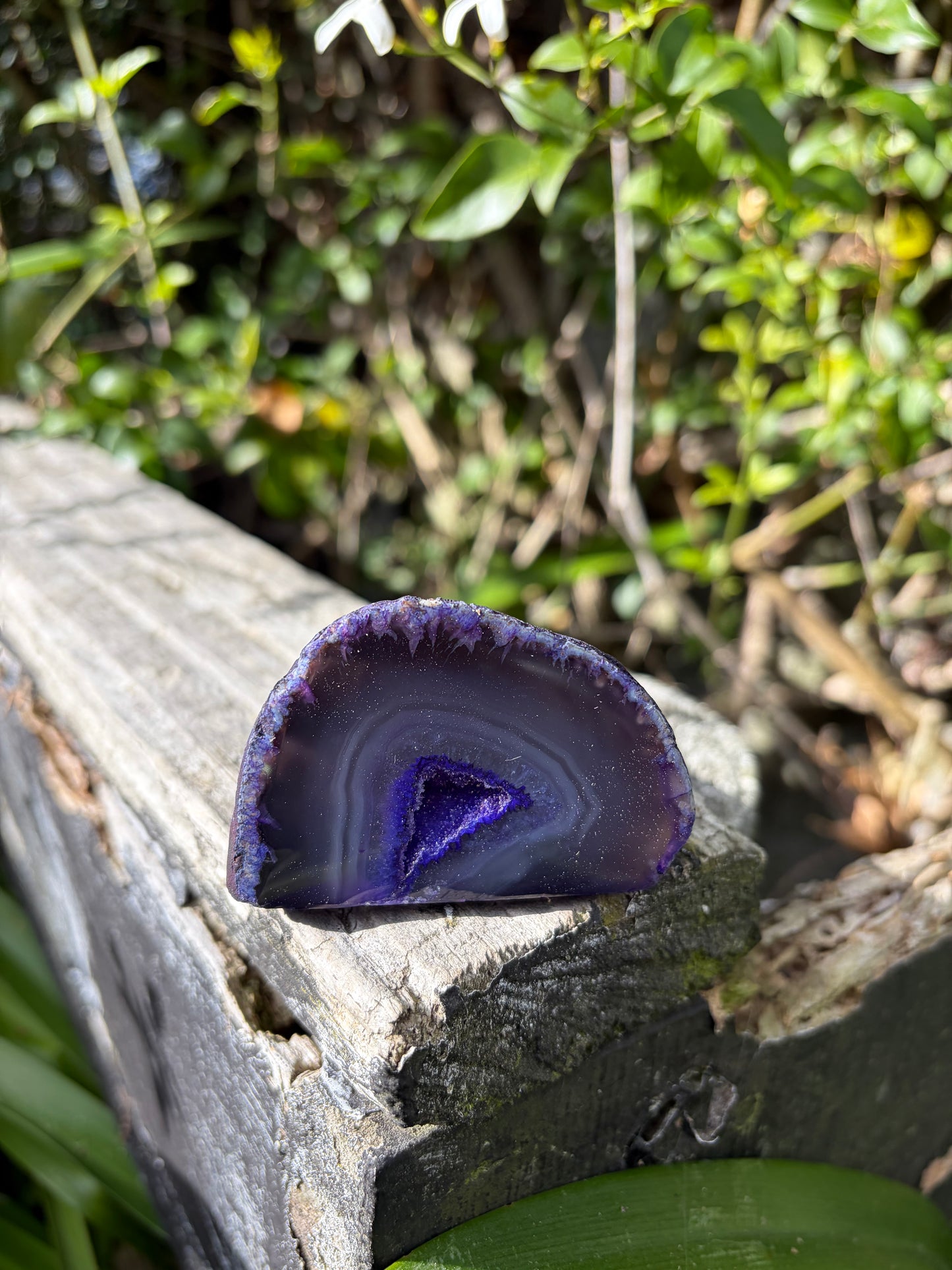 Purple Agate Geode F