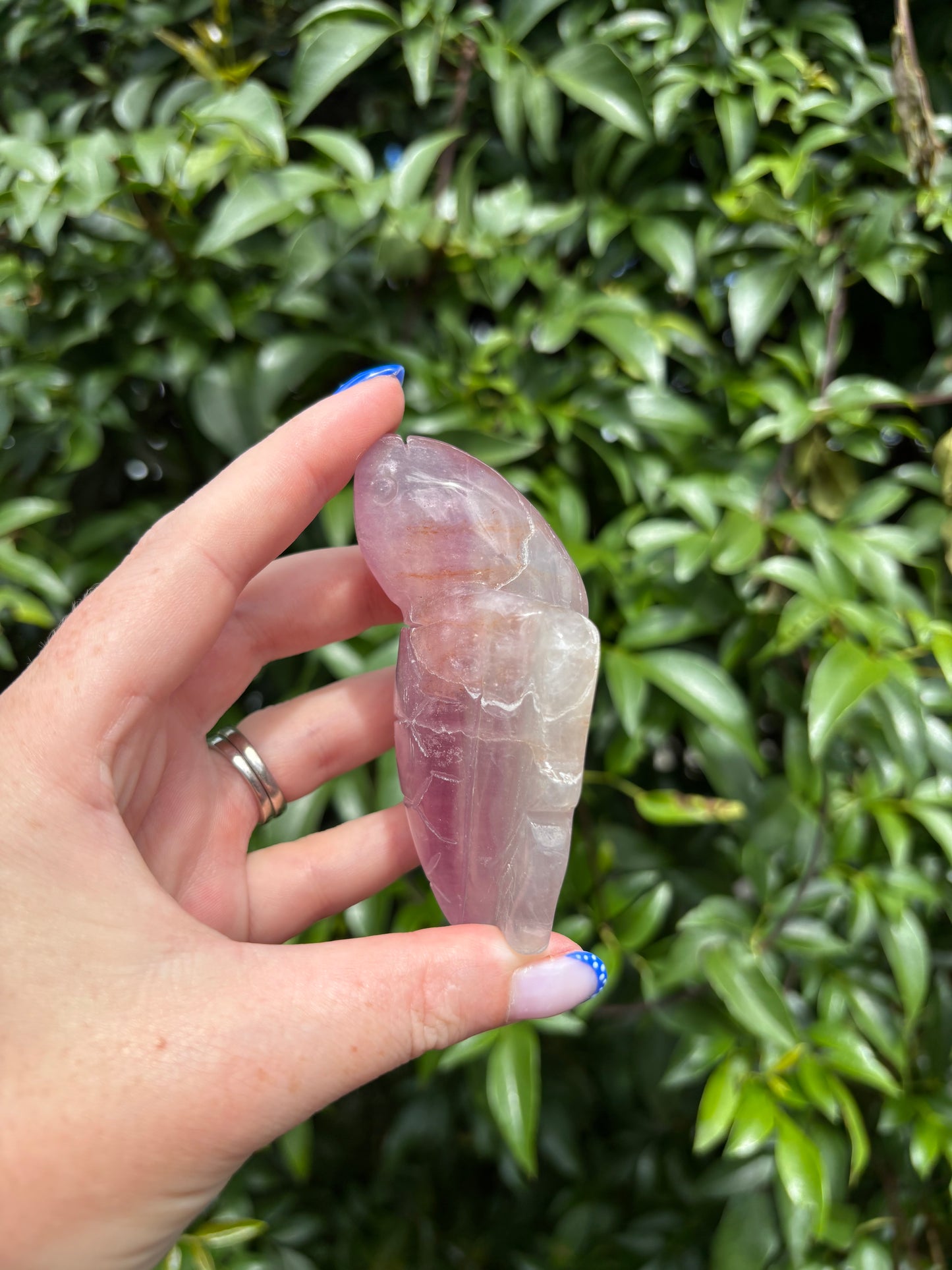 Purple Fluorite Carved Turtle C