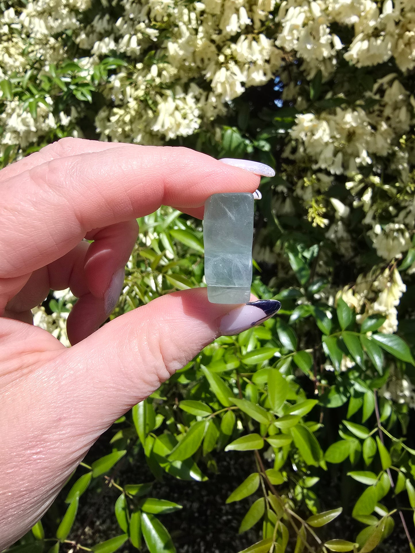 Rainbow Fluorite Butterfly D