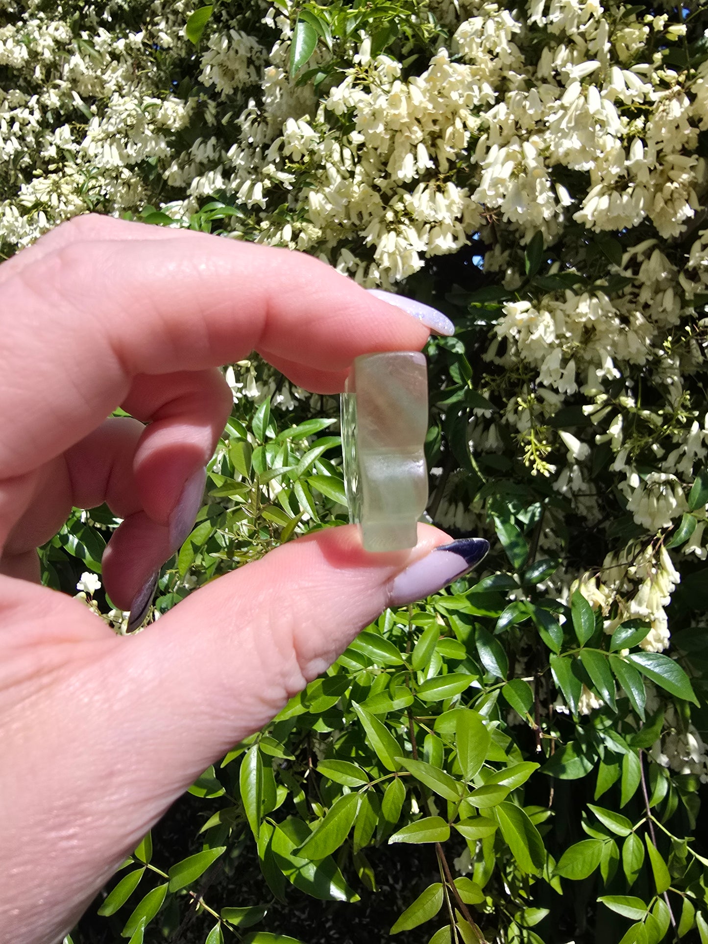 Rainbow Fluorite Butterfly F