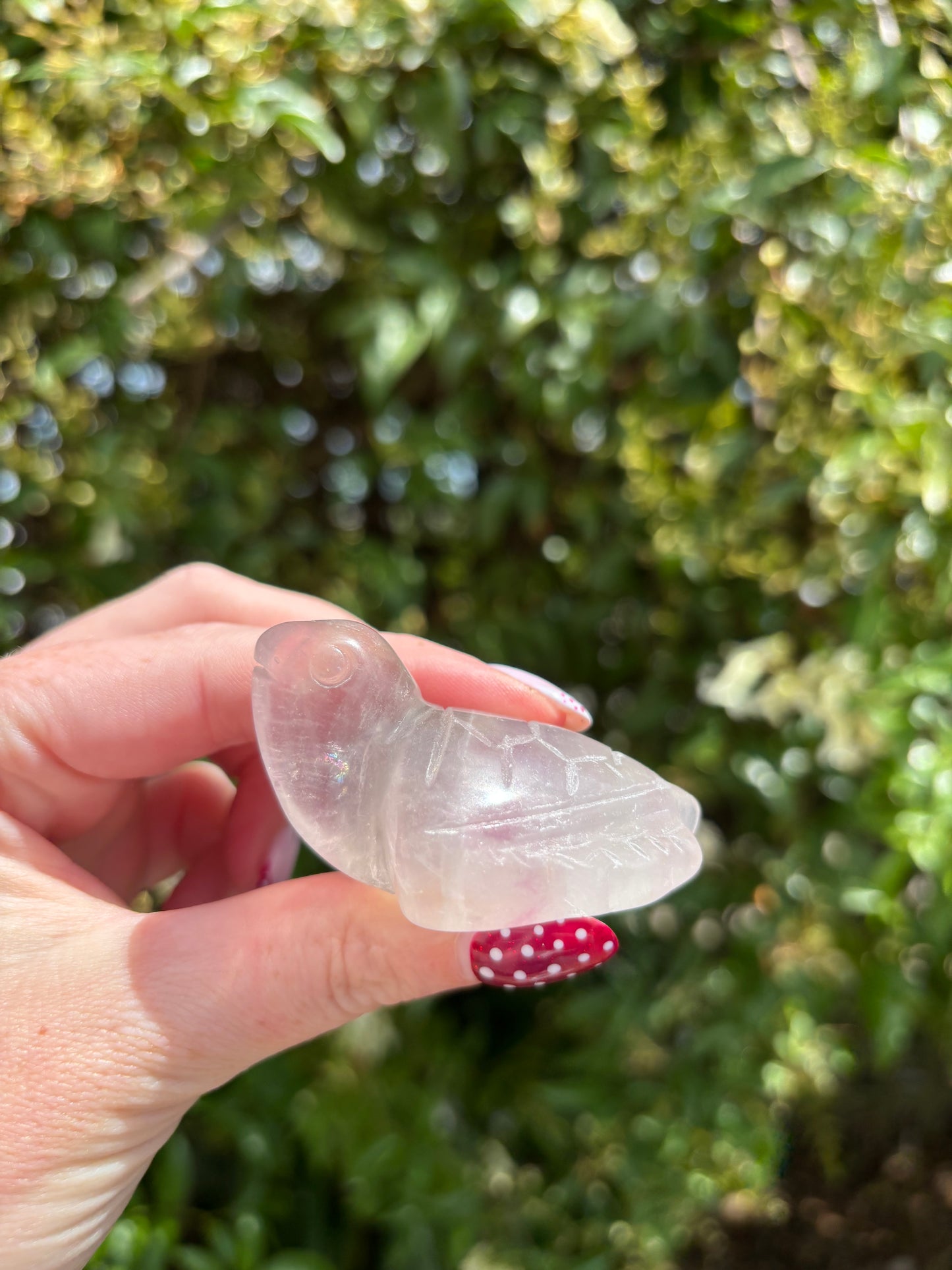 Rainbow Fluorite Small Turtle A