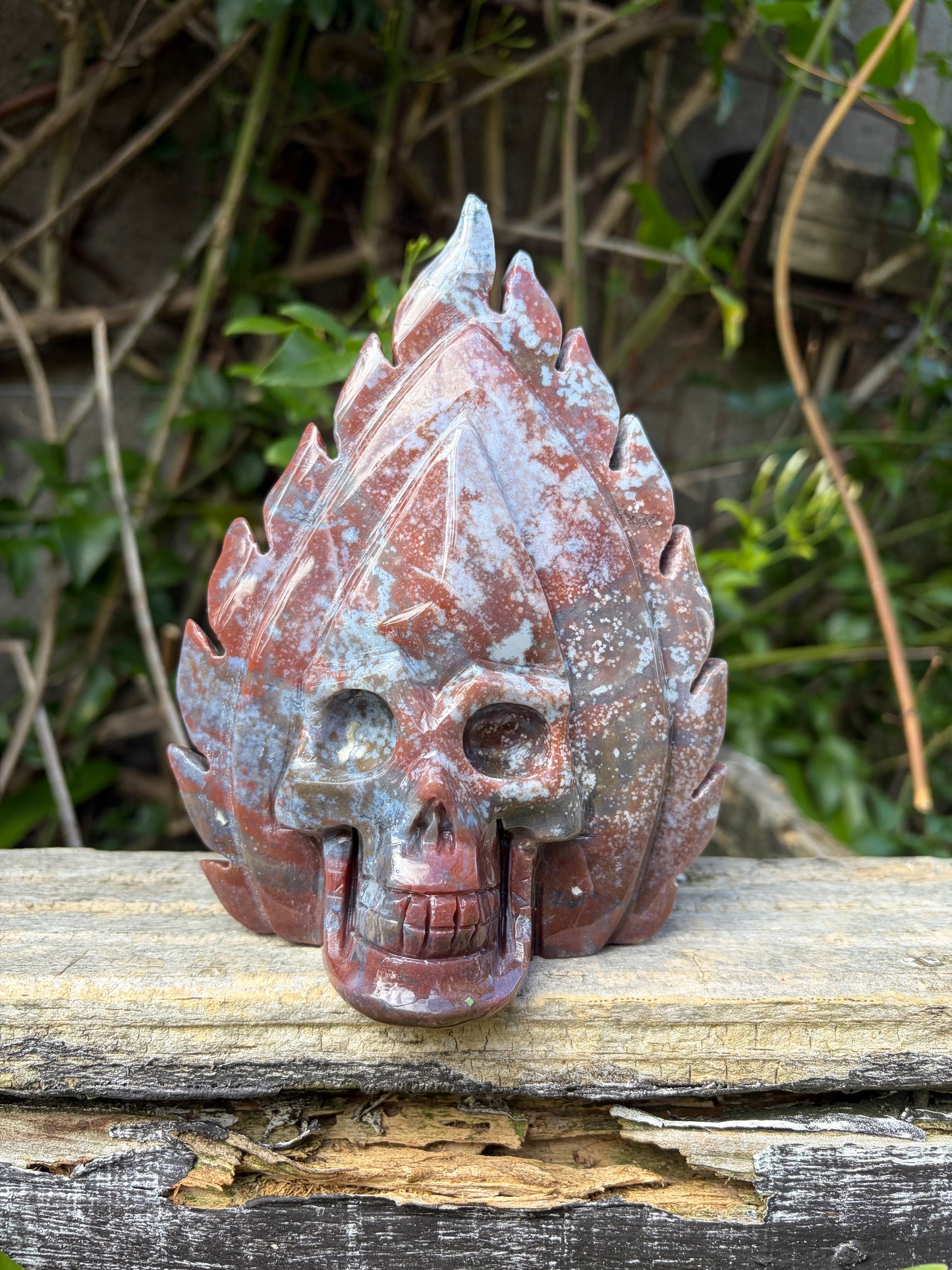 Red Ocean Jasper Skull