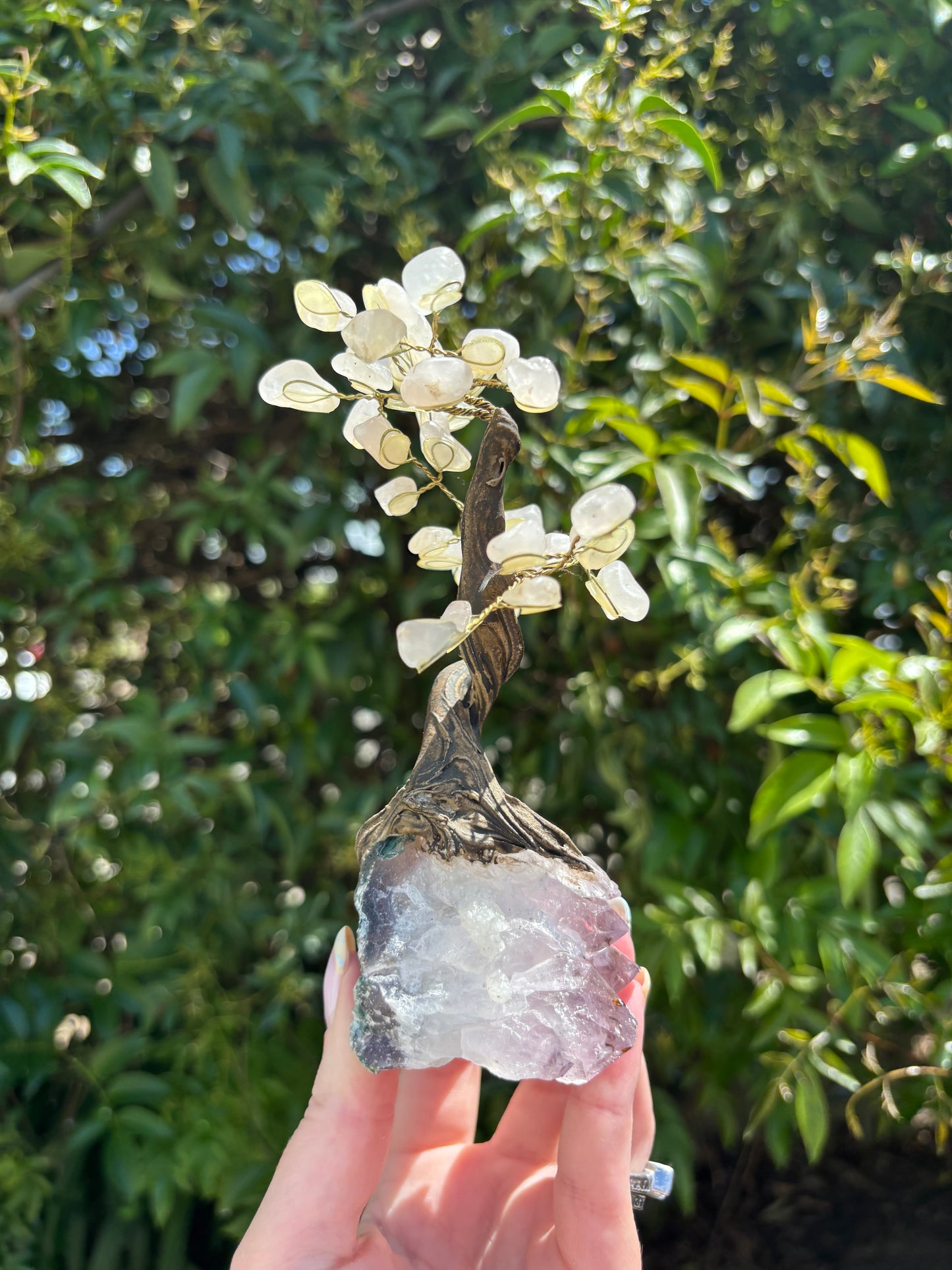 Rose Quartz Tree With Amethyst Base Large Tree A