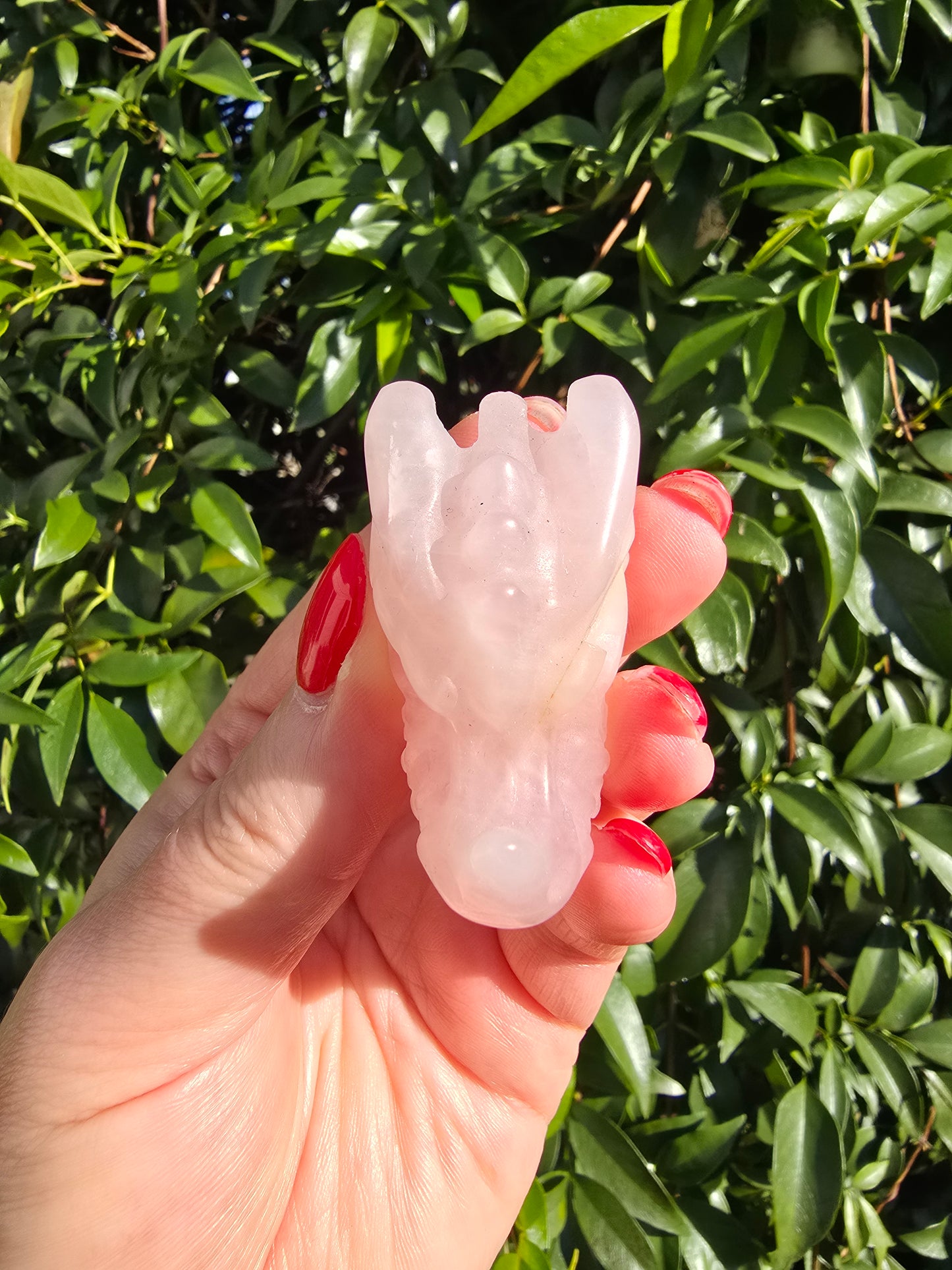 Rose Quartz Dragon Head Skull