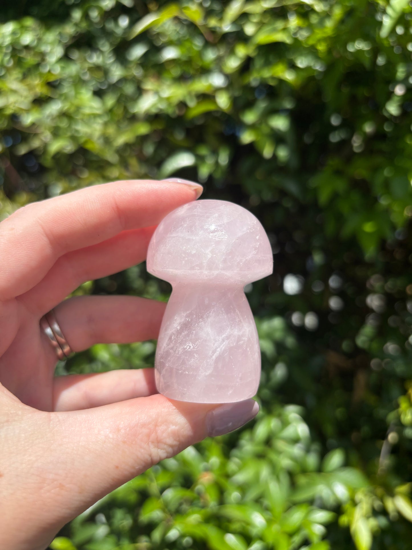 Rose Quartz Mushroom A