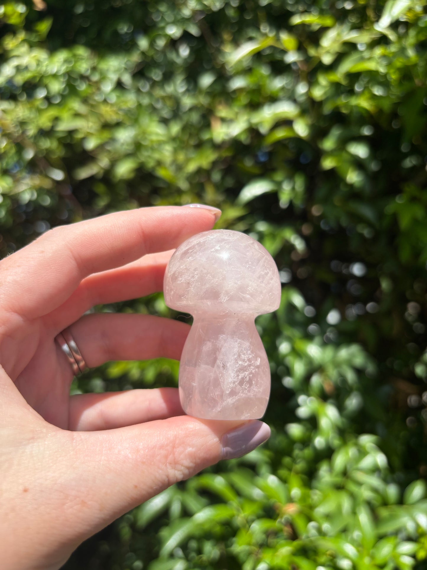 Rose Quartz Mushroom B