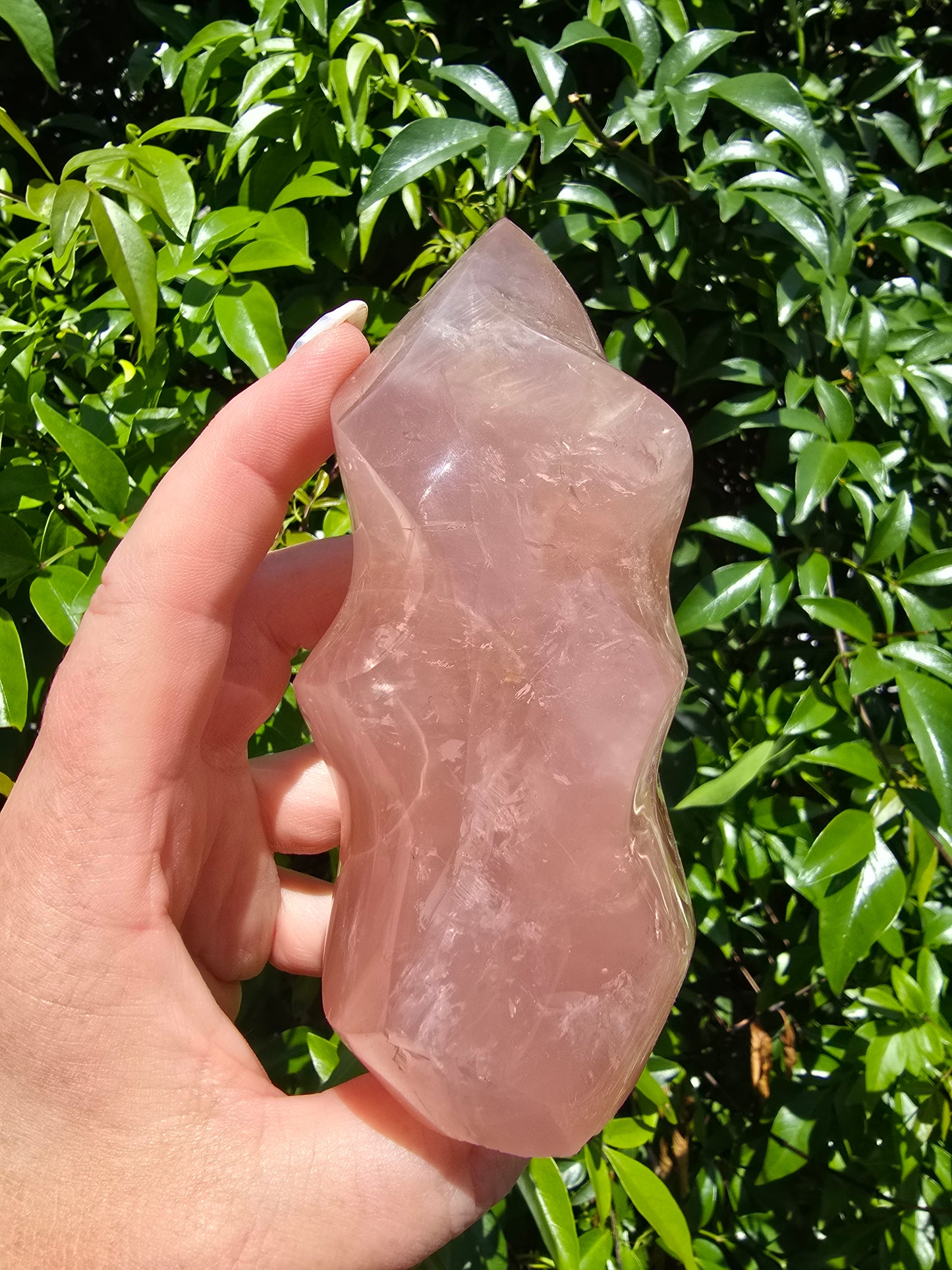 Rose Quartz Large Flame D