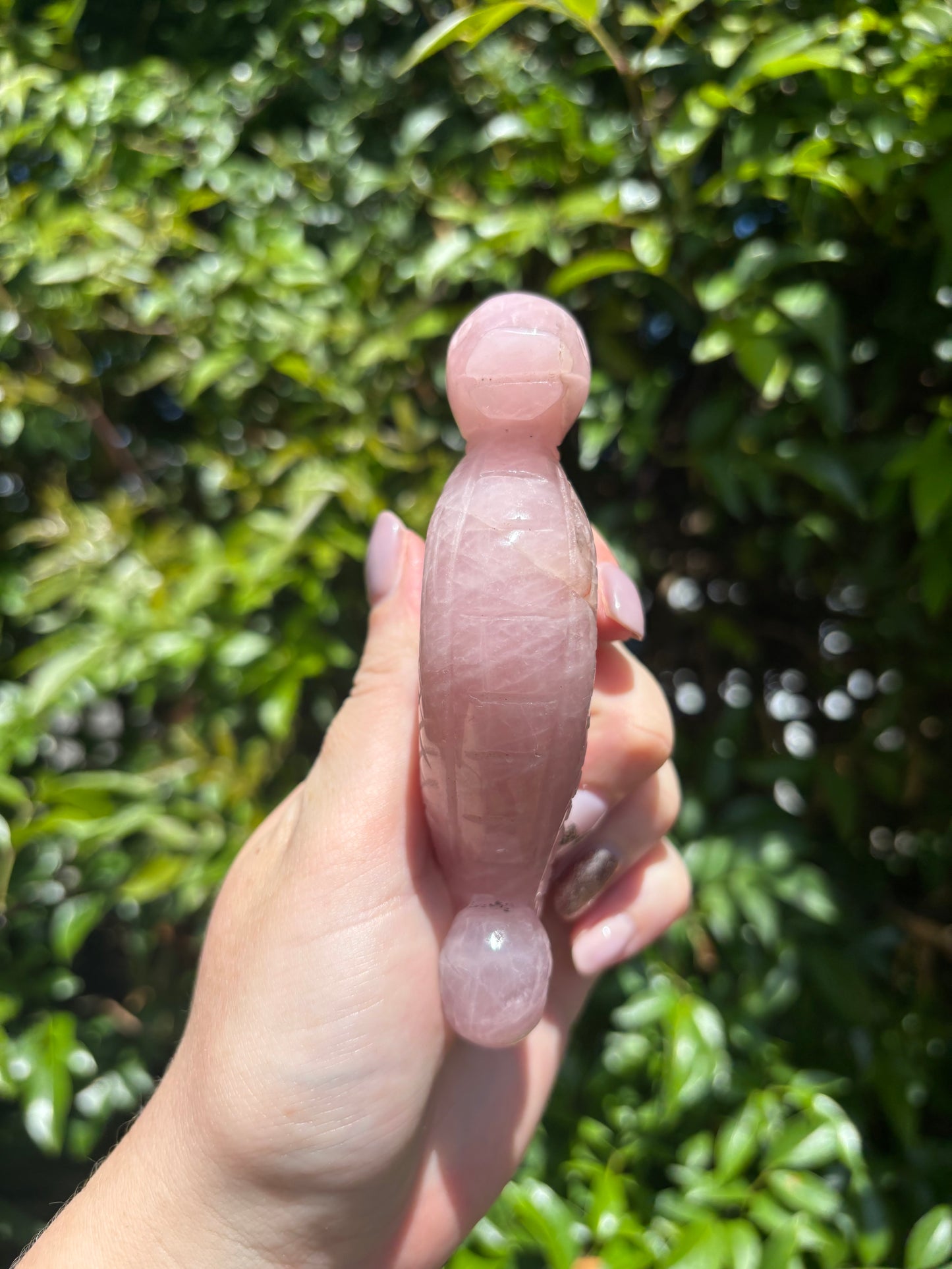 Rose Quartz Sea Horse