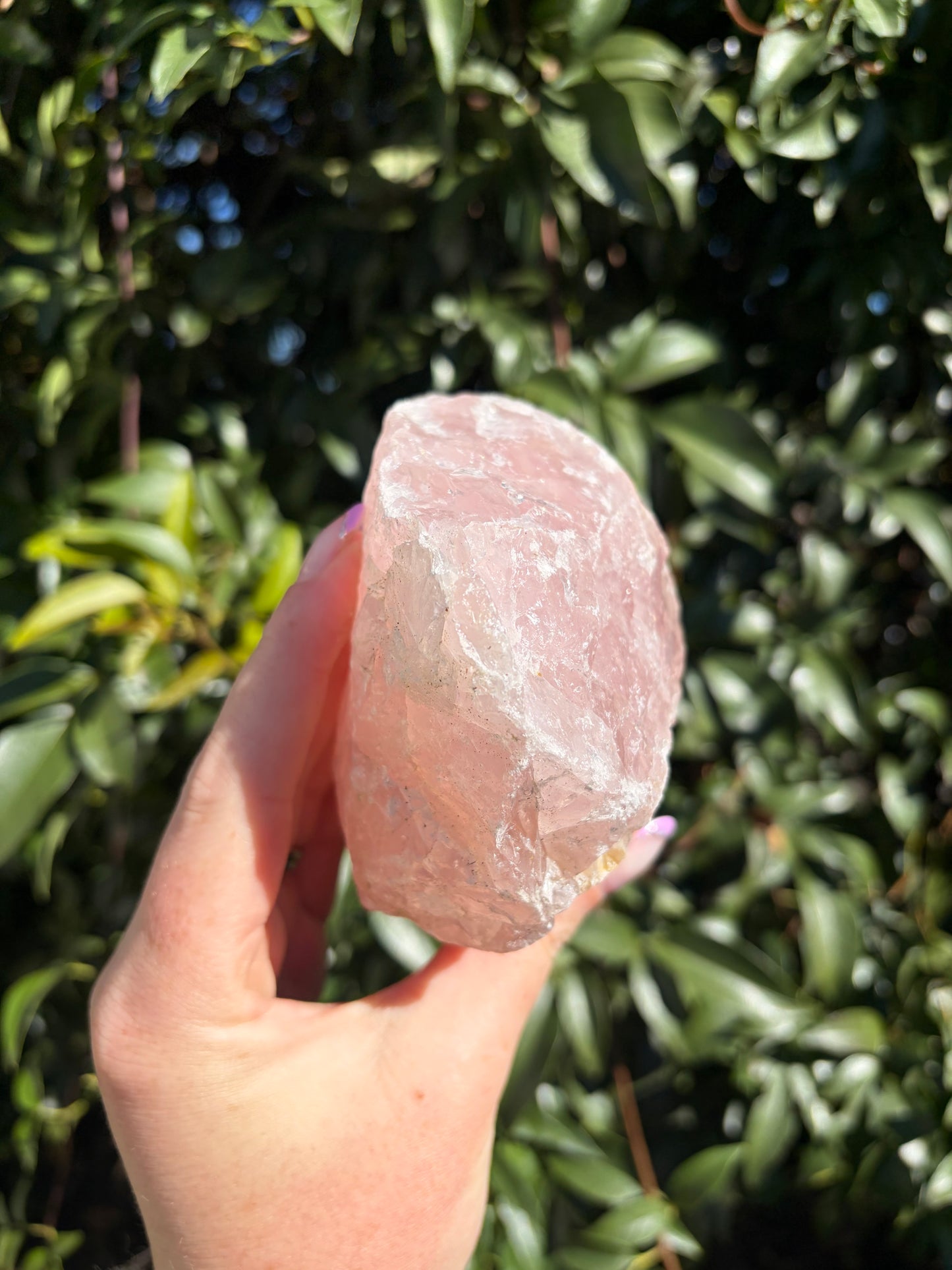 Rose Quartz Large Rough Piece C