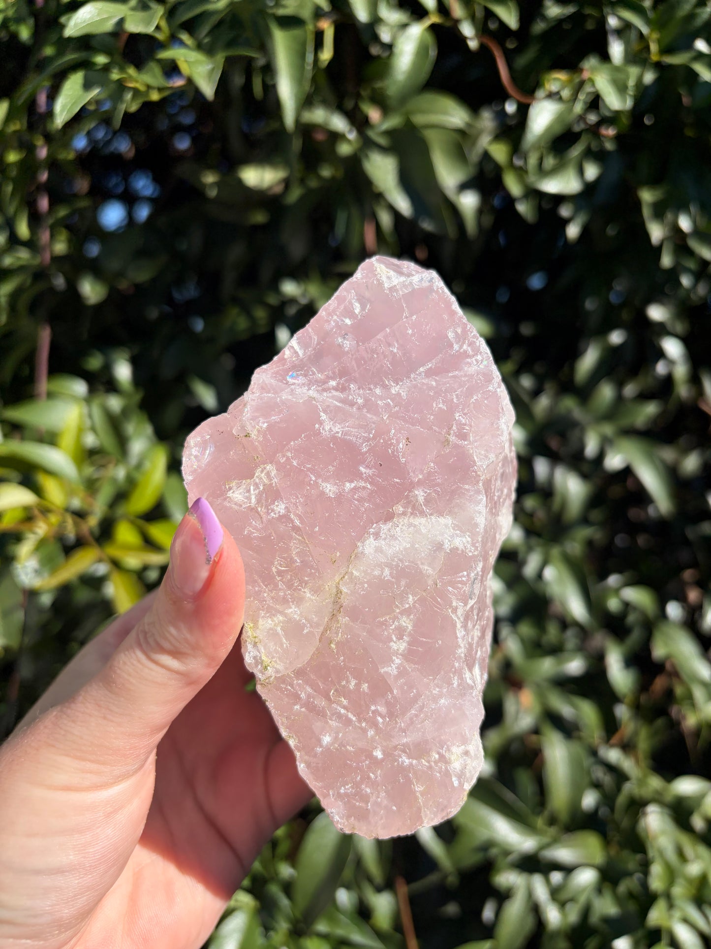 Rose Quartz Large Rough Piece D