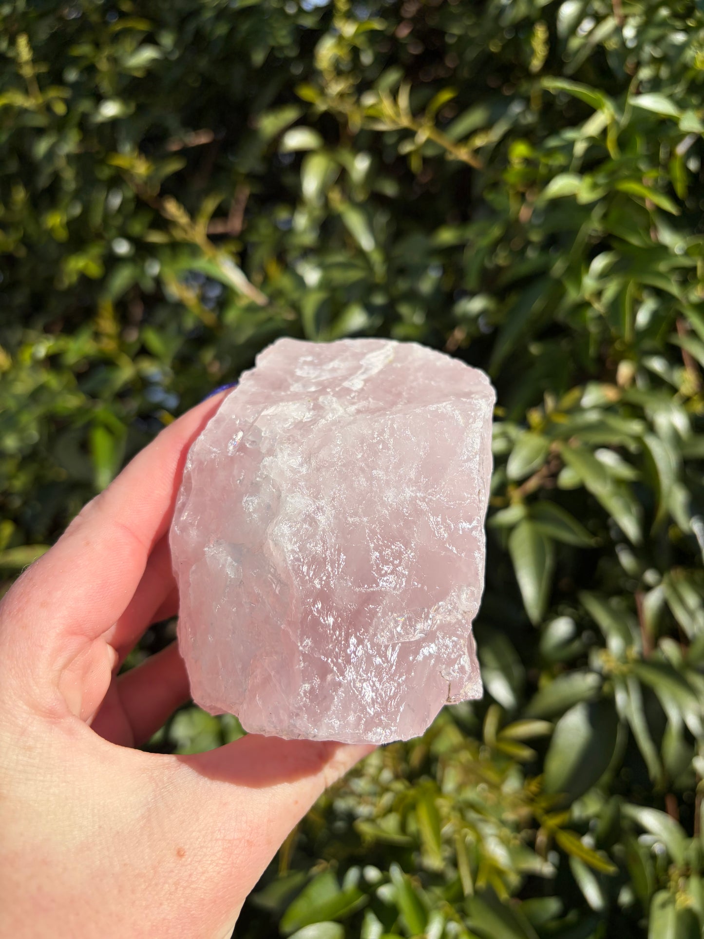 Rose Quartz Large Rough Piece A