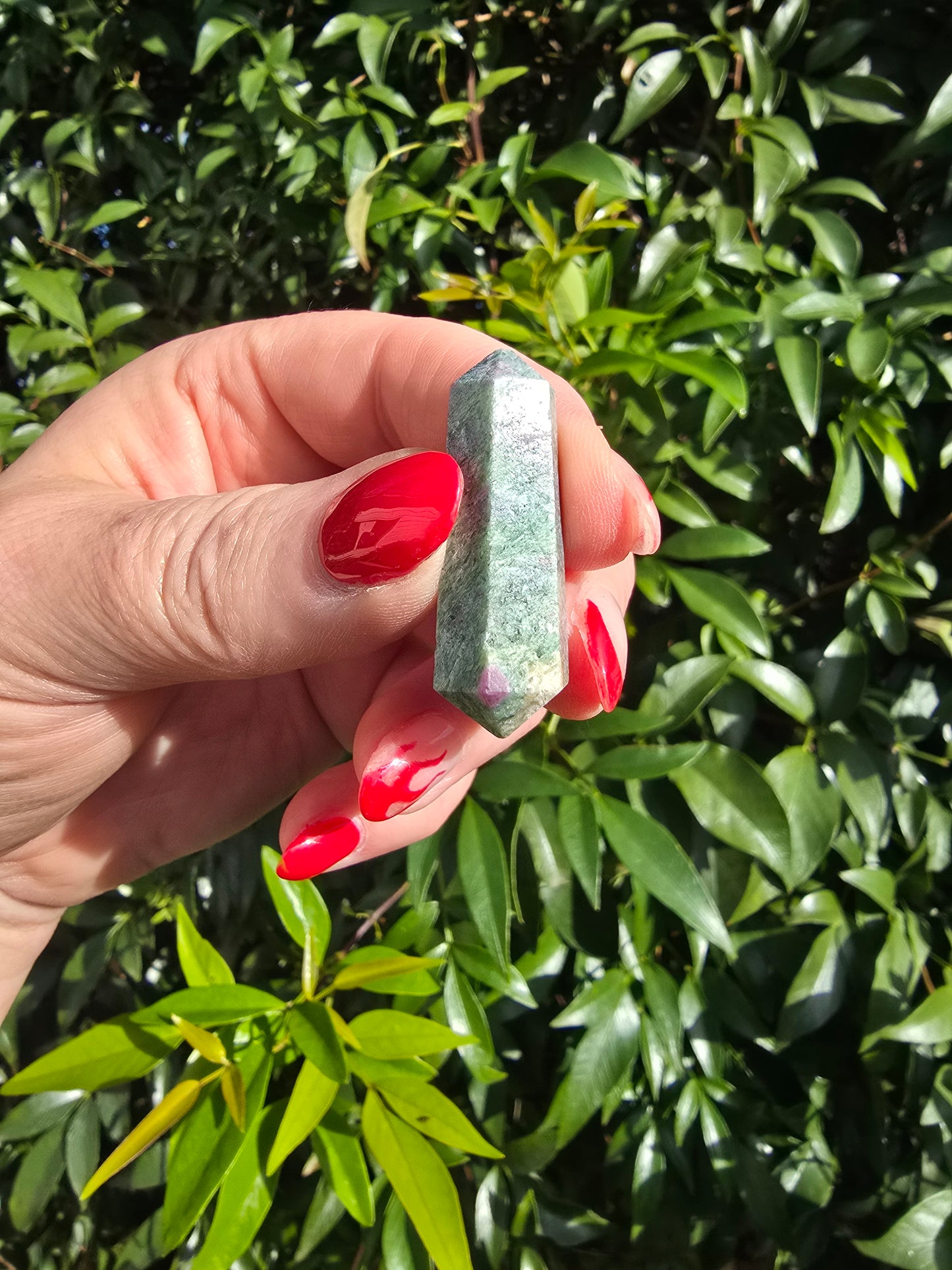 Ruby & Fuchite DT Point