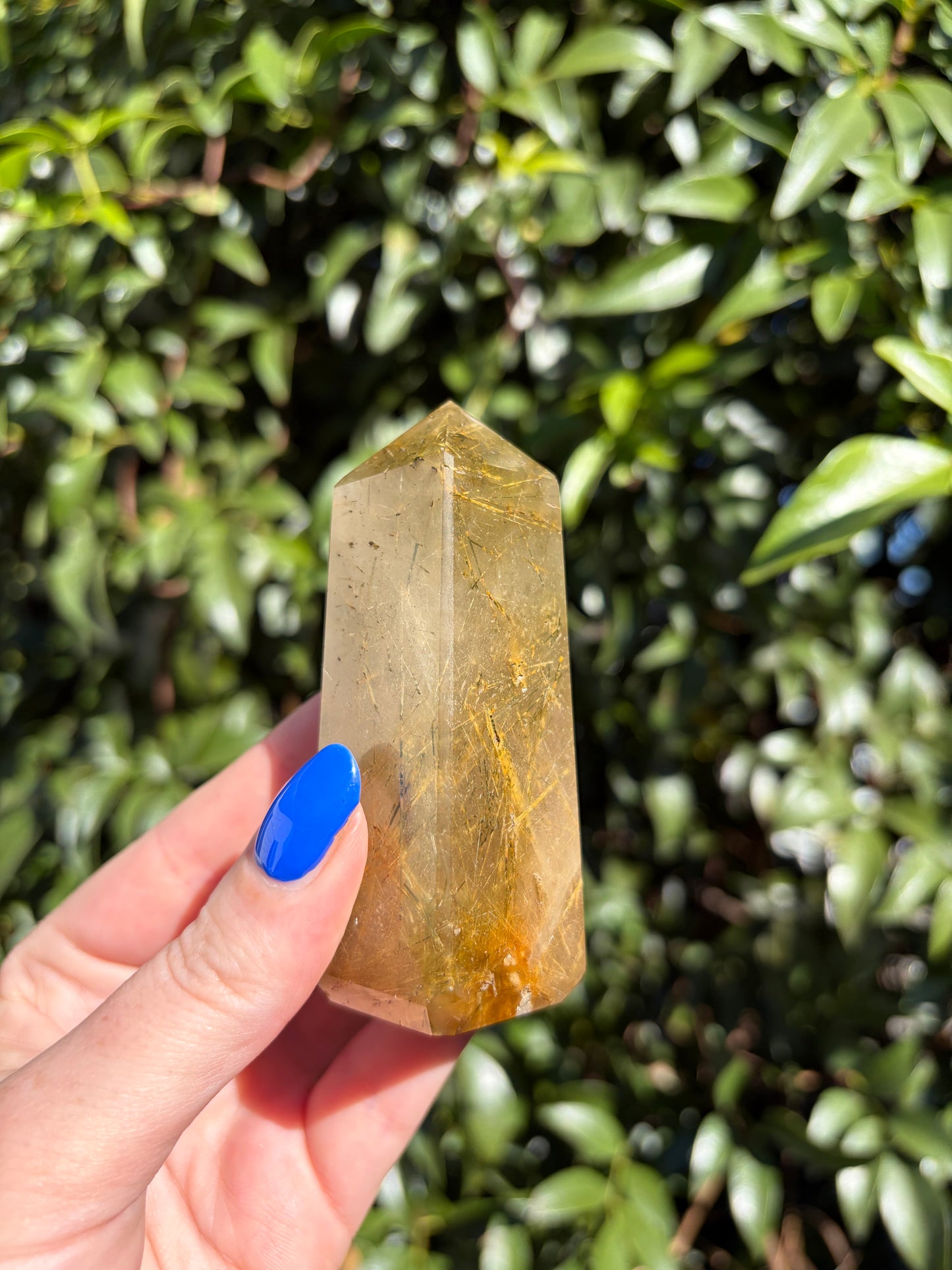 Rutilated Quartz Polished Point L