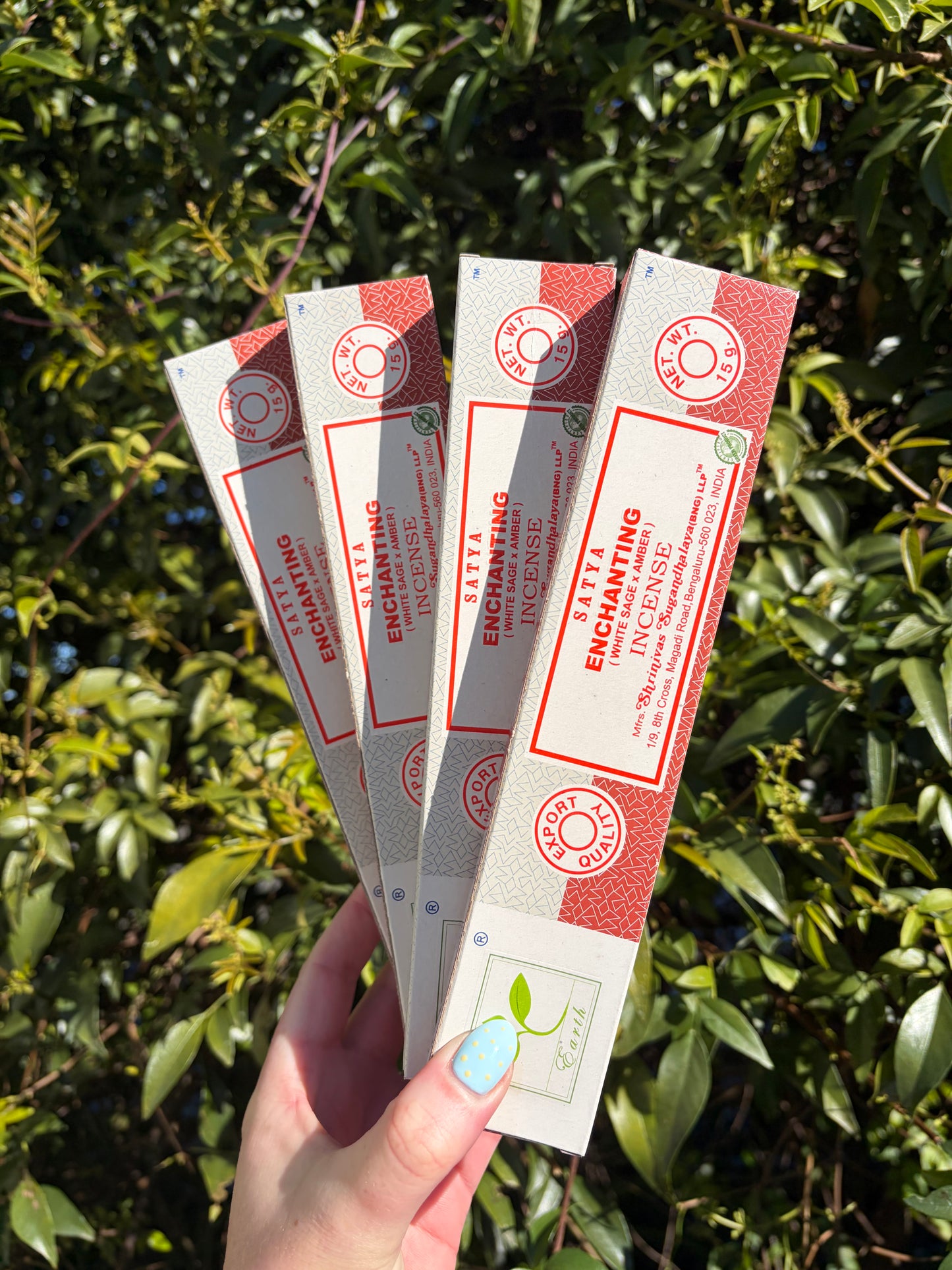 Enchanting | White Sage & Amber Incense Sticks