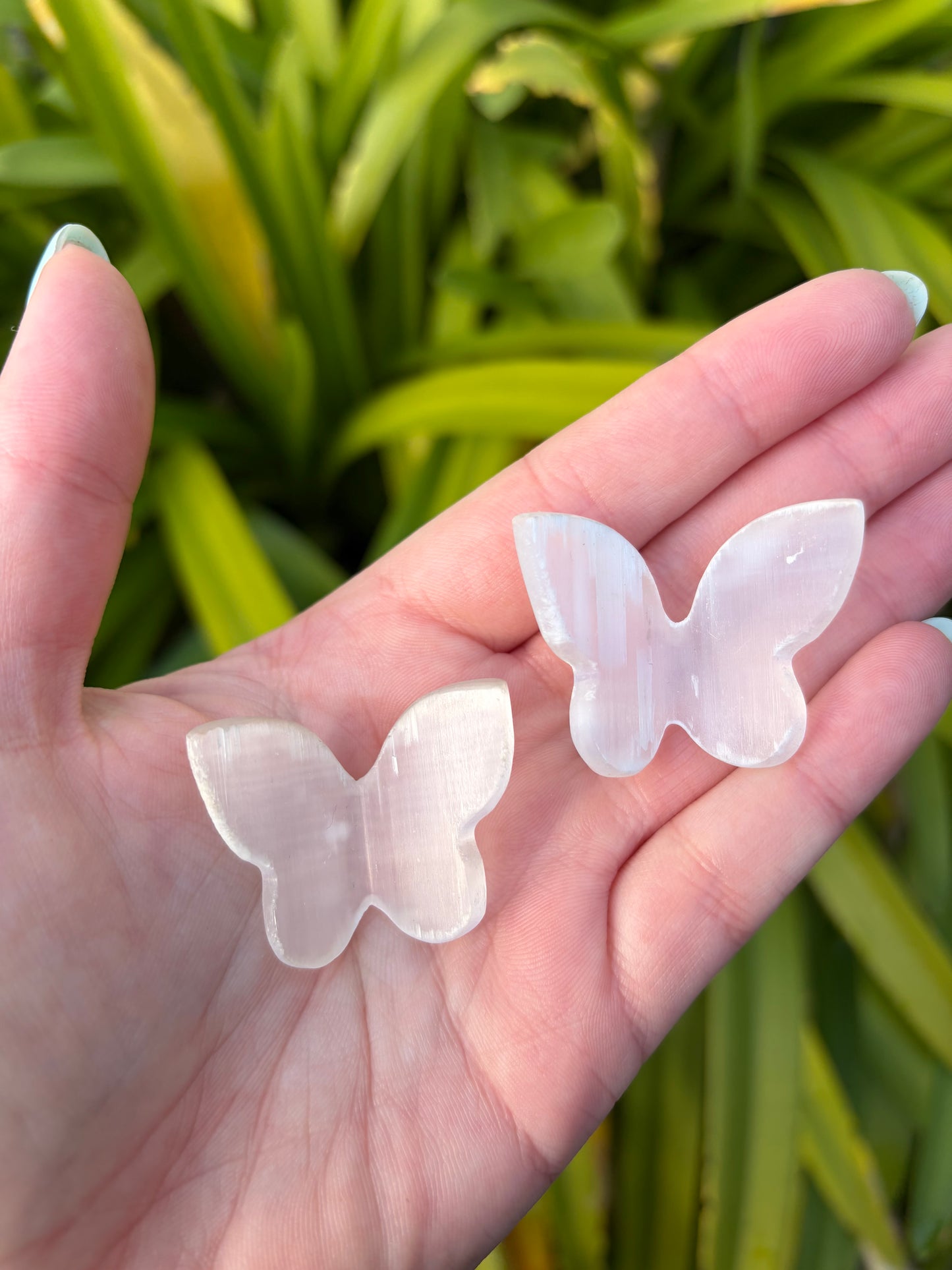 Selenite 3D Medium Butterfly