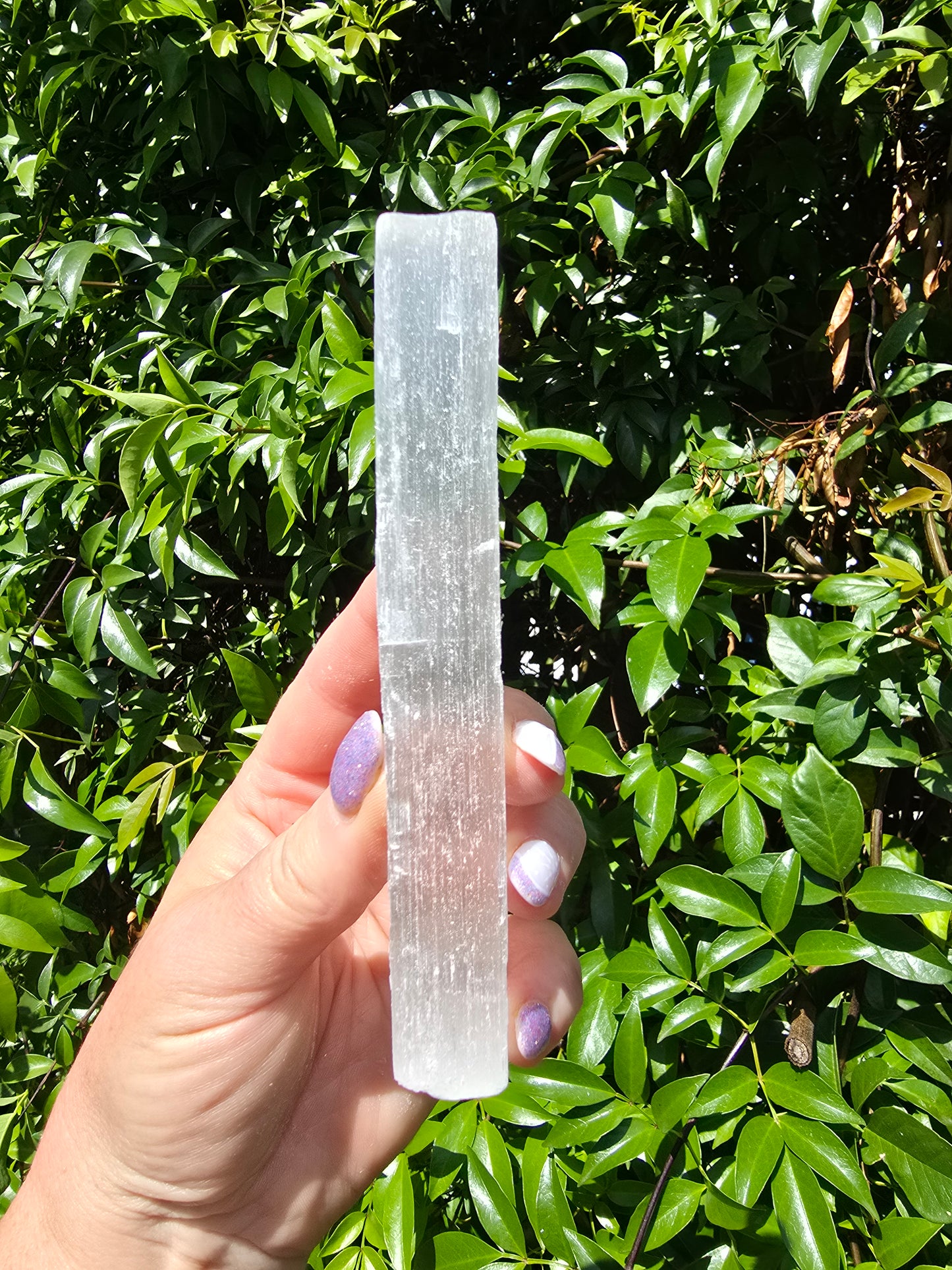 Selenite Rough Rod XLarge