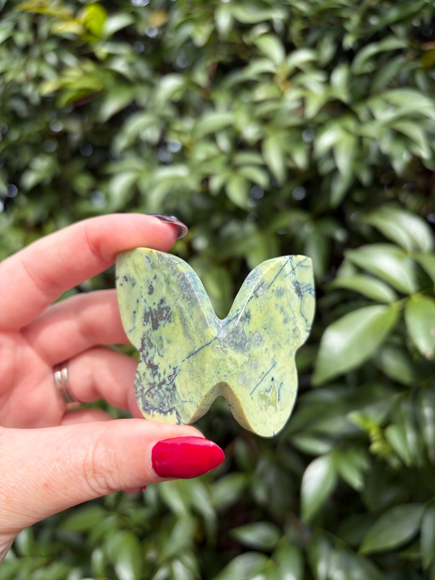 Serpentine & Pyrite 3D Large Butterfly A
