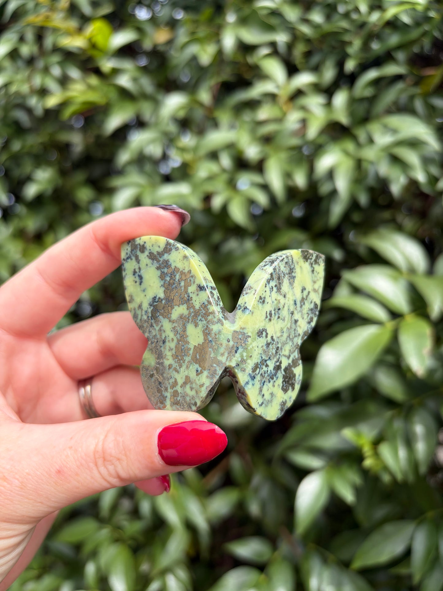 Serpentine & Pyrite 3D Large Butterfly B