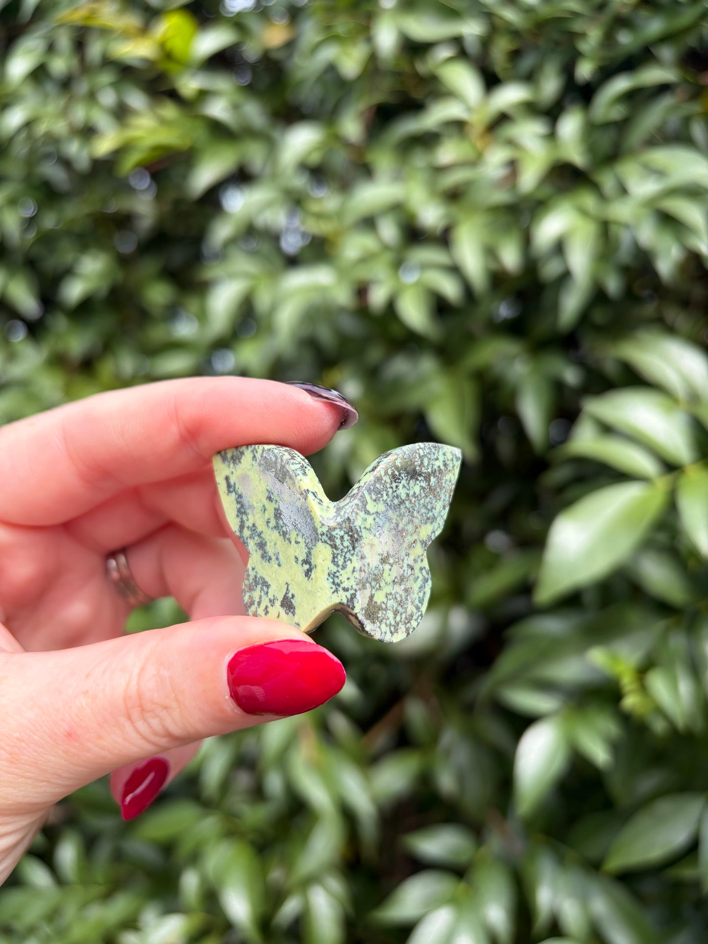 Serpentine & Pyrite 3D Medium Butterfly A