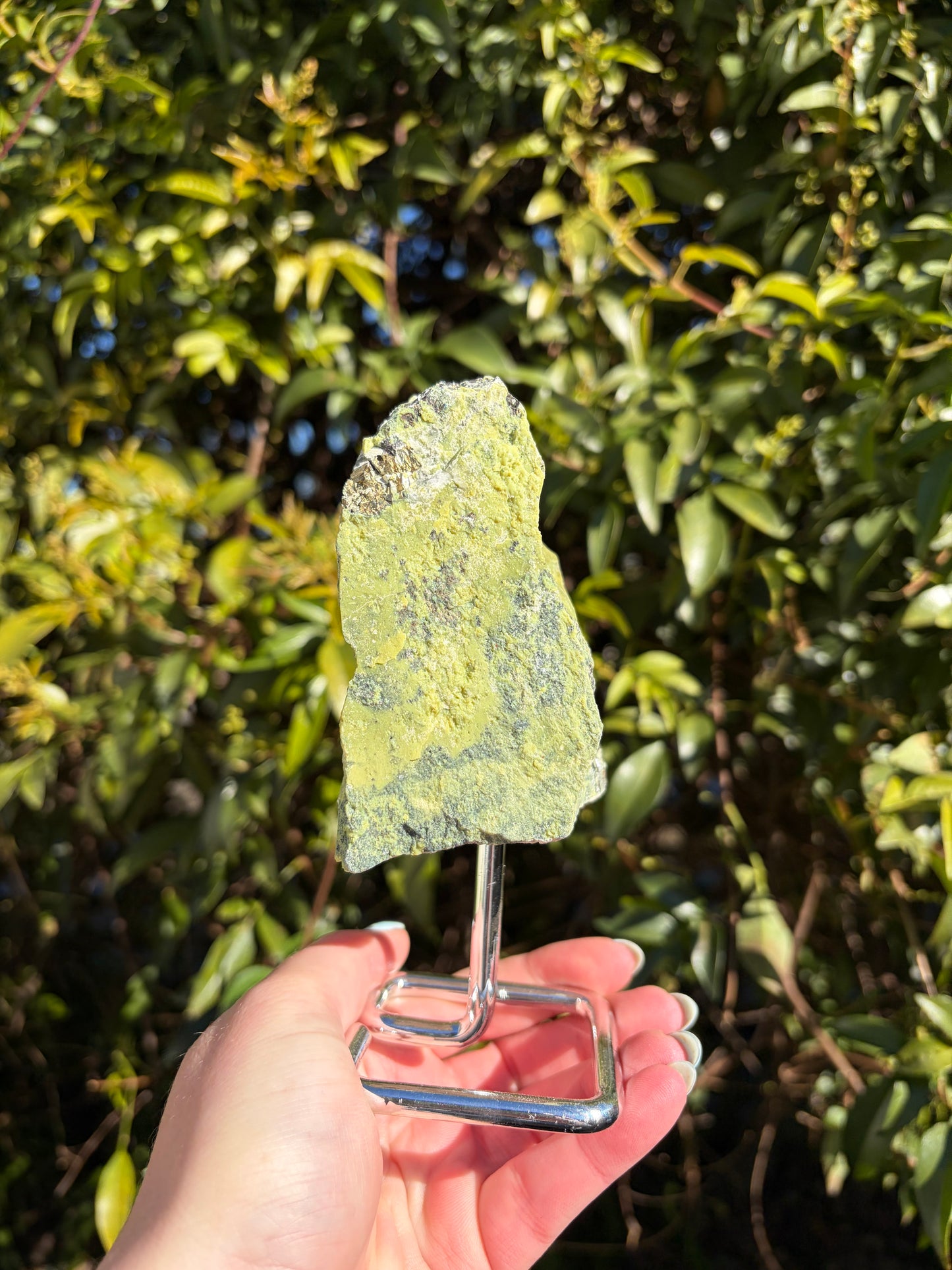 Serpentine & Pyrite Rough Piece On Metal Stand A