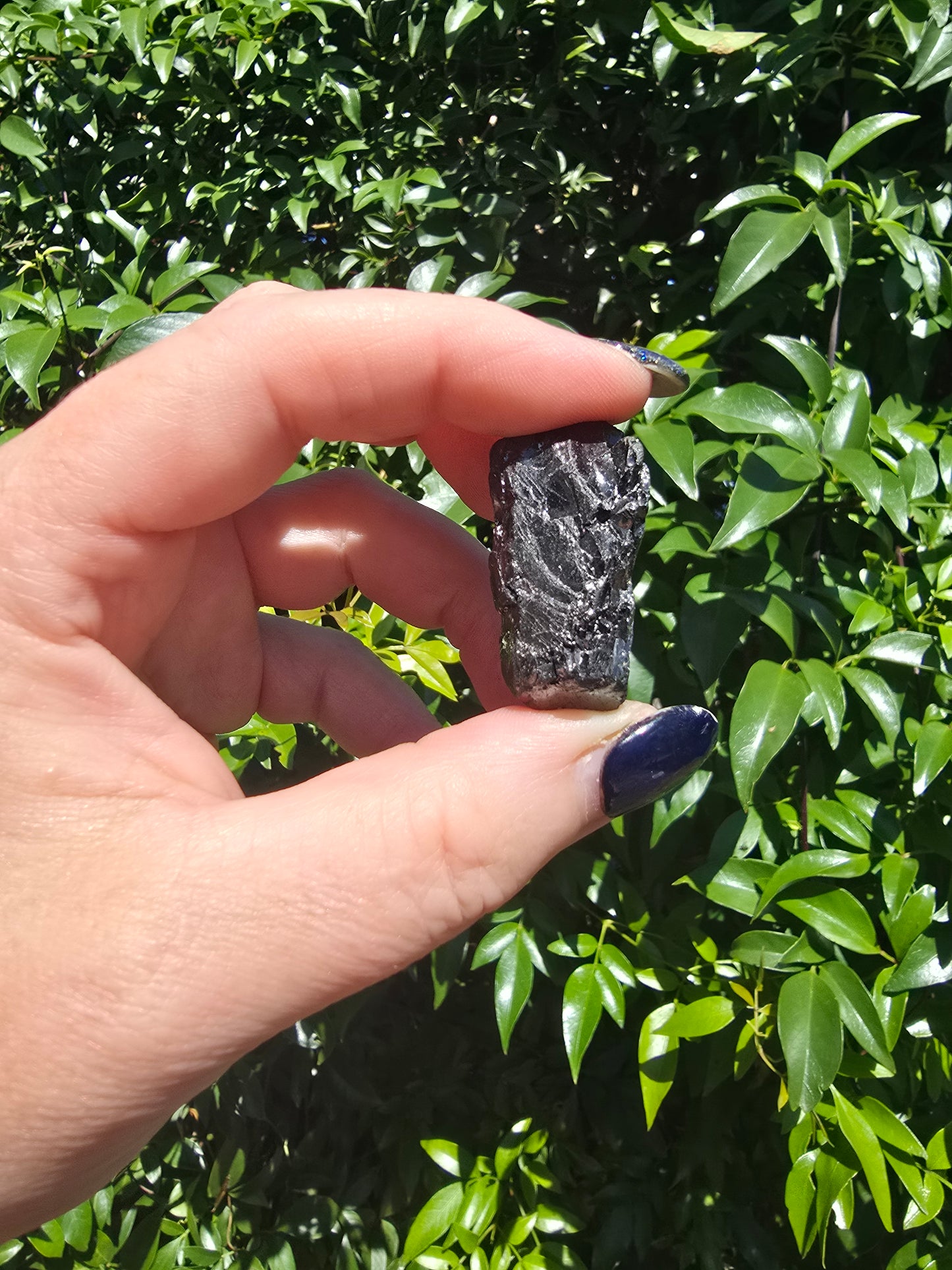 Elite Shungite Rough Piece E