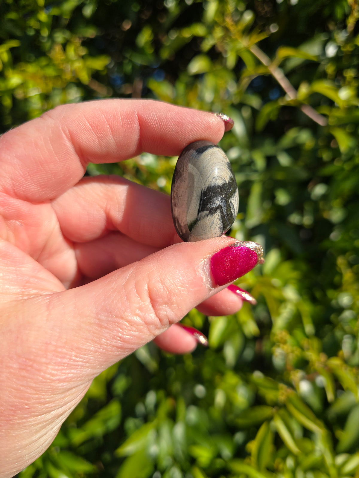 Silver Leaf Jasper Tumbled Stone
