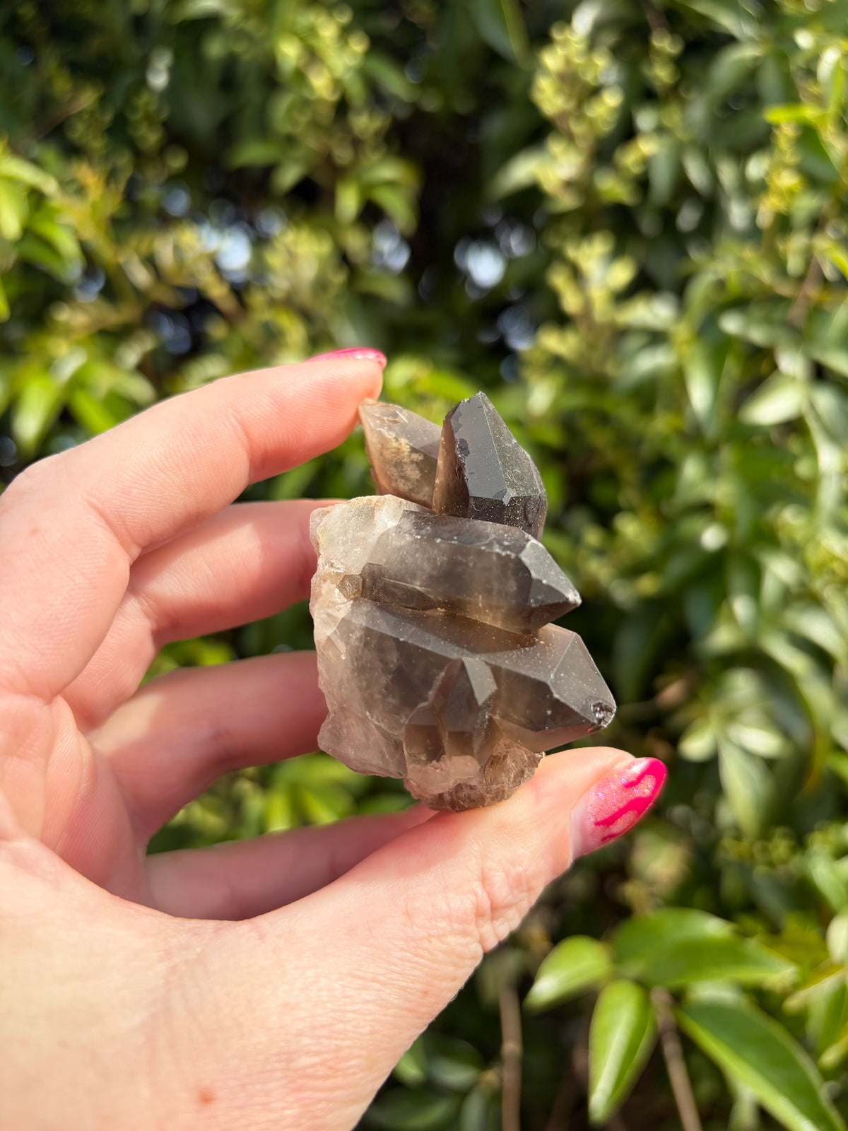 Smoky Quartz Cluster D