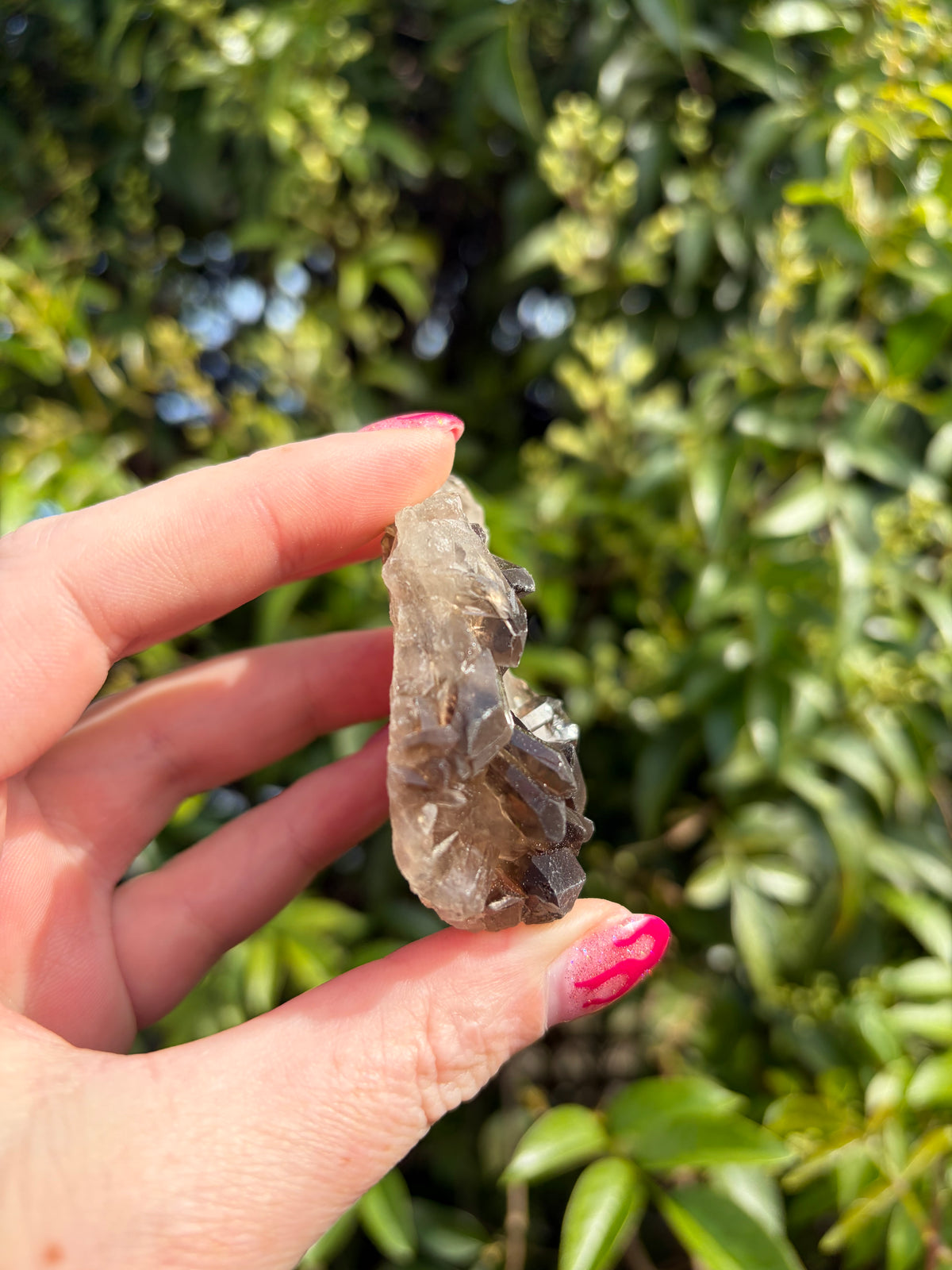 Smoky Quartz Cluster E