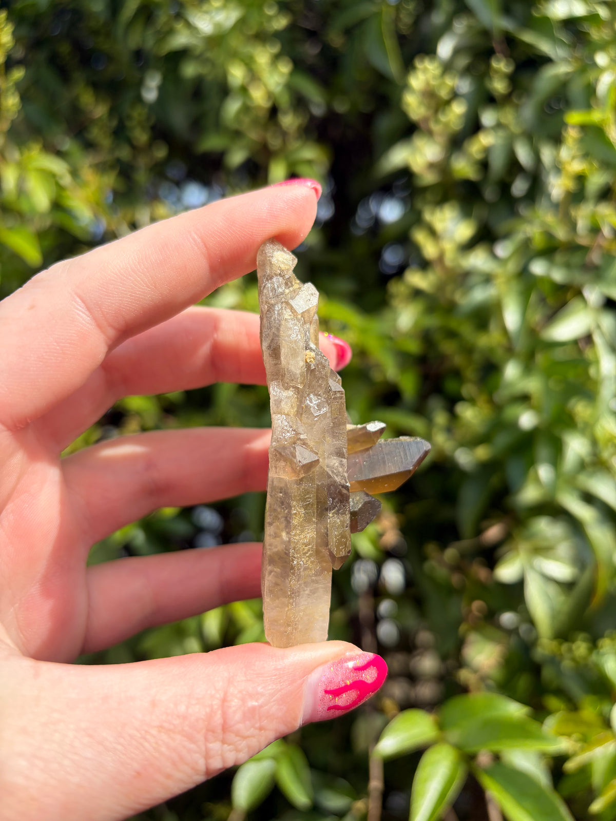 Smoky Quartz Cluster J
