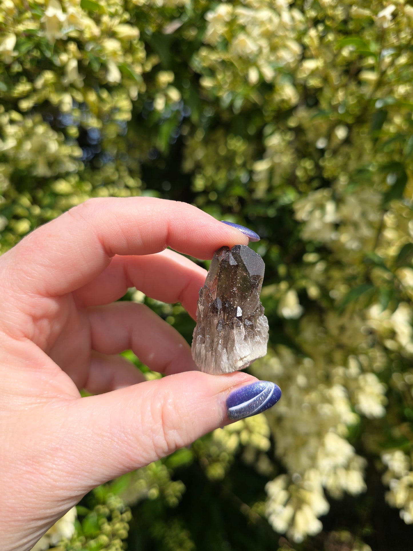 Smoky Quartz Medium Cluster
