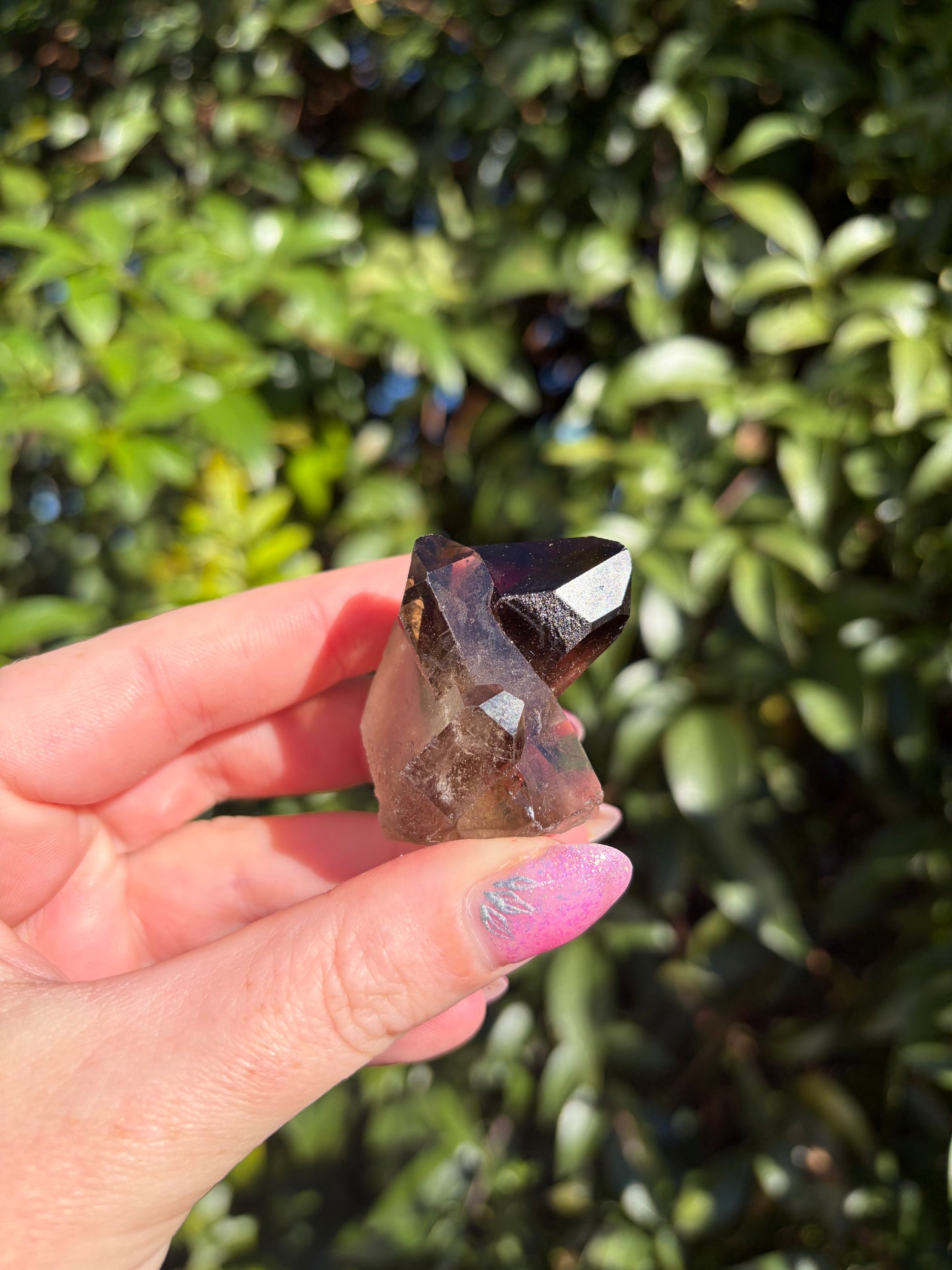 Smoky Quartz Cluster H