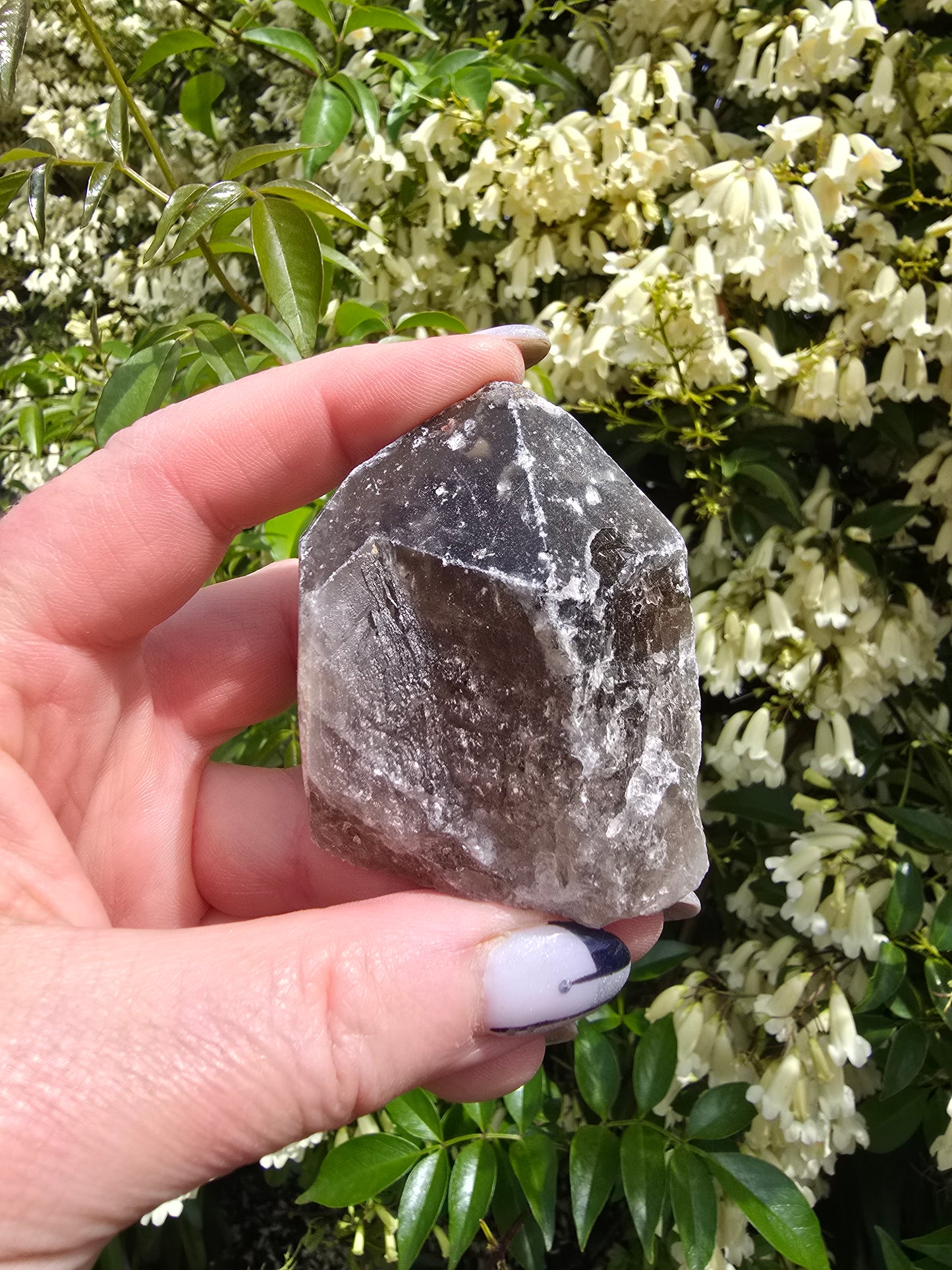 Smoky Quartz Rough Large