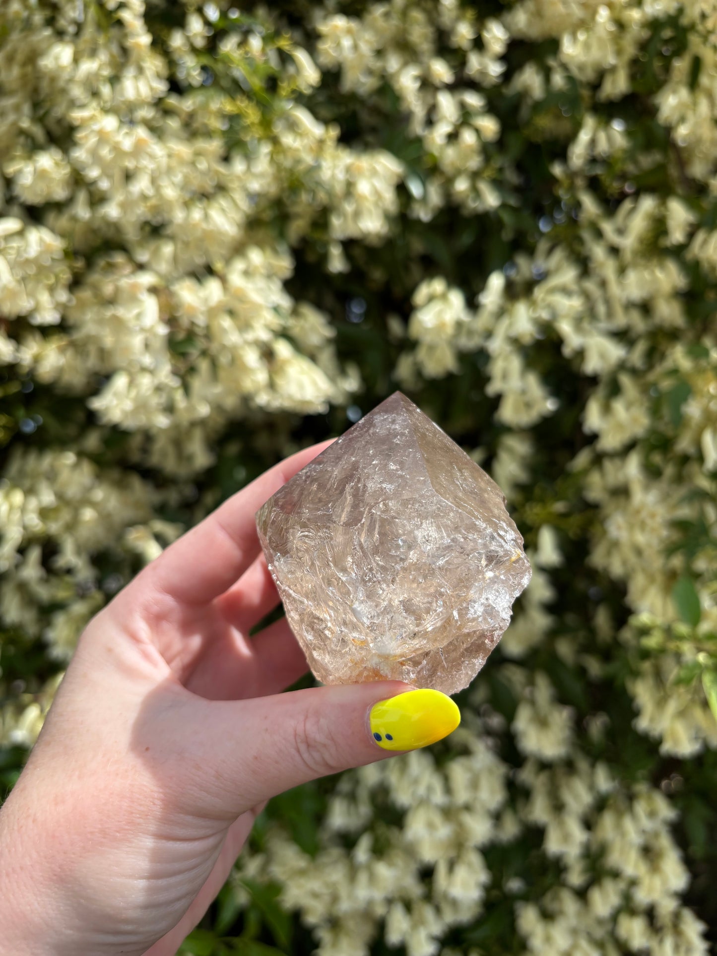 Smoky Quartz Semi Polished Point A
