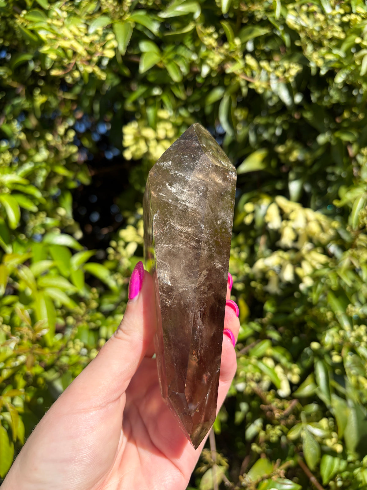 Smoky & Rutilated Quartz Double Terminated Point A