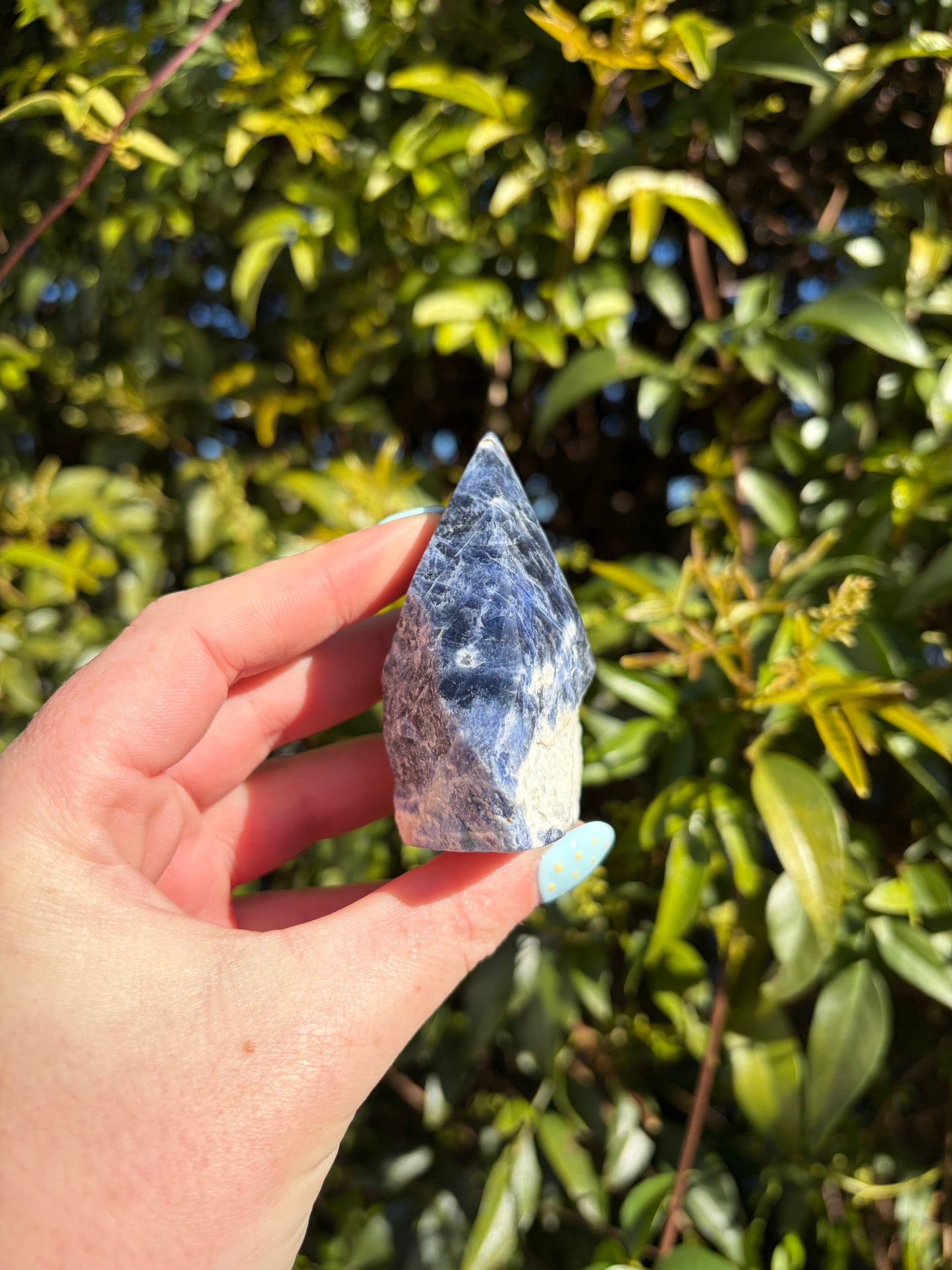 Sodalite Semi Polished Point B