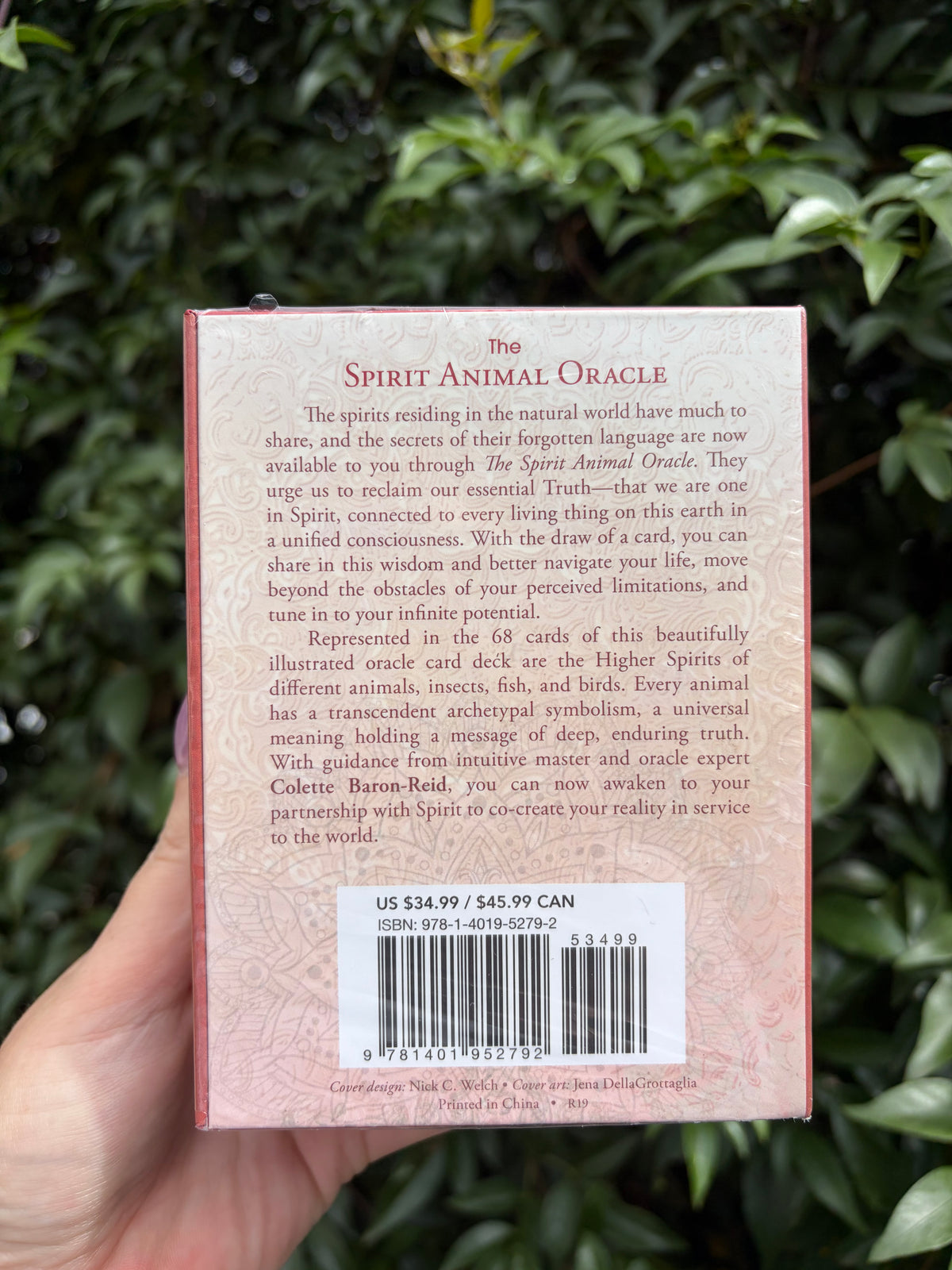 The Spirit Animal Oracle Cards