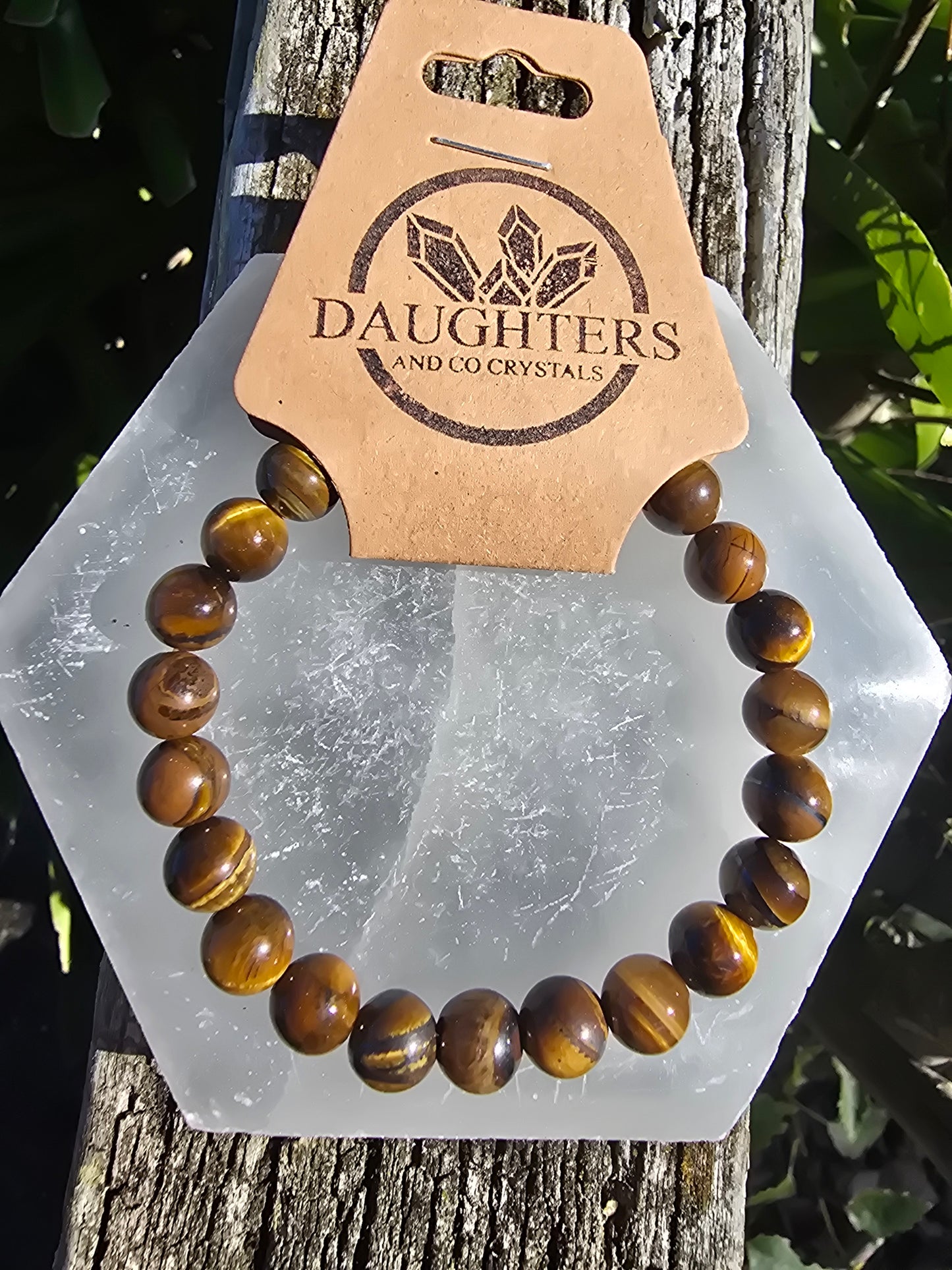 Tigers Eye | Large Round Bead Bracelet