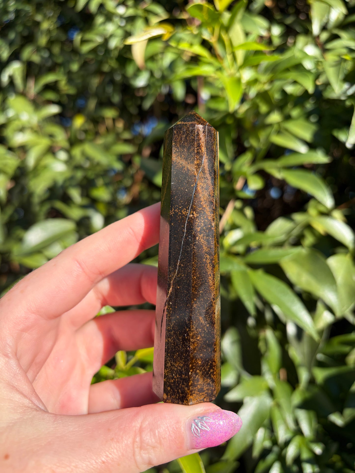 Tigers Eye Point D