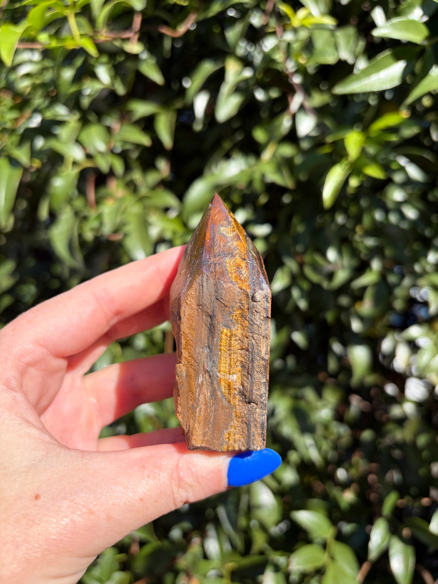 Tigers Eye Semi Polished Point A