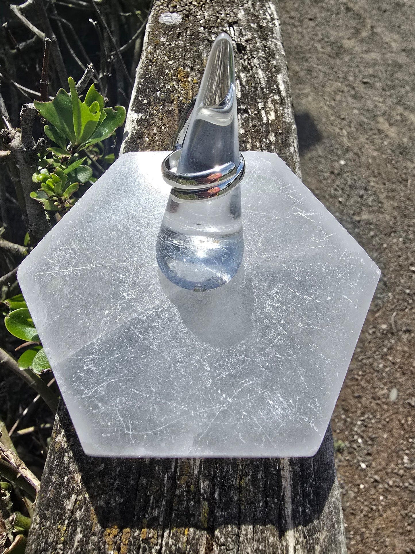 Tigers Iron | Polished Sterling Silver Adjustable Ring B