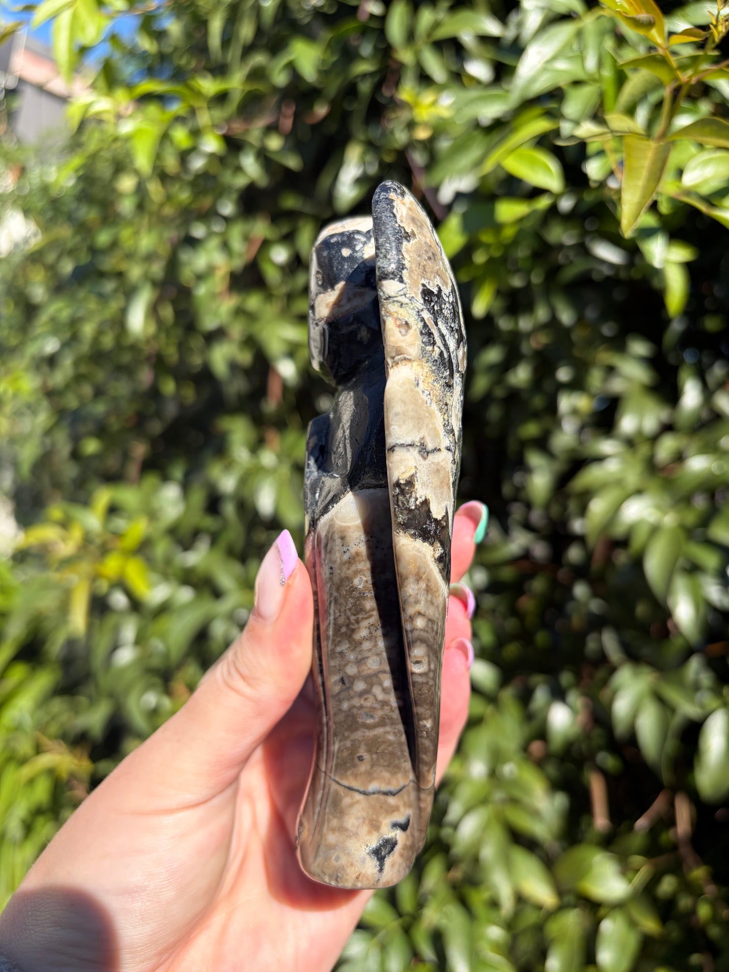 Volcano Agate XLarge Angel D