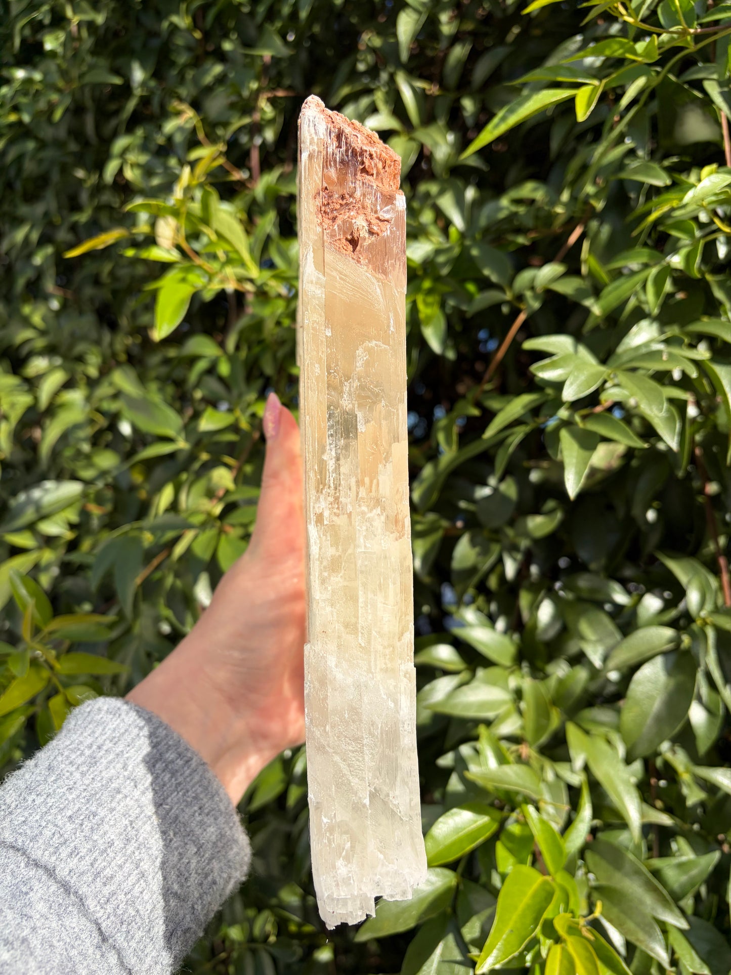 Window Selenite Piece C