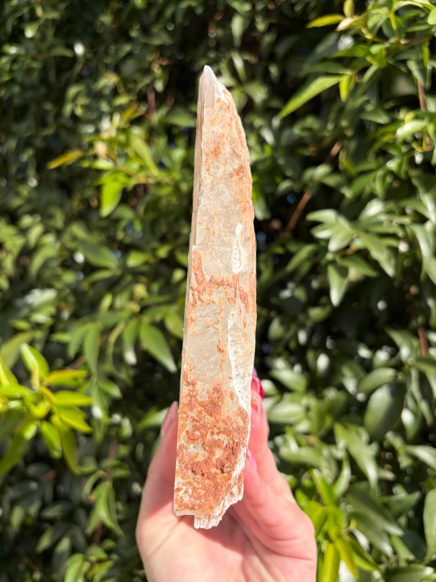 Window Selenite Piece F