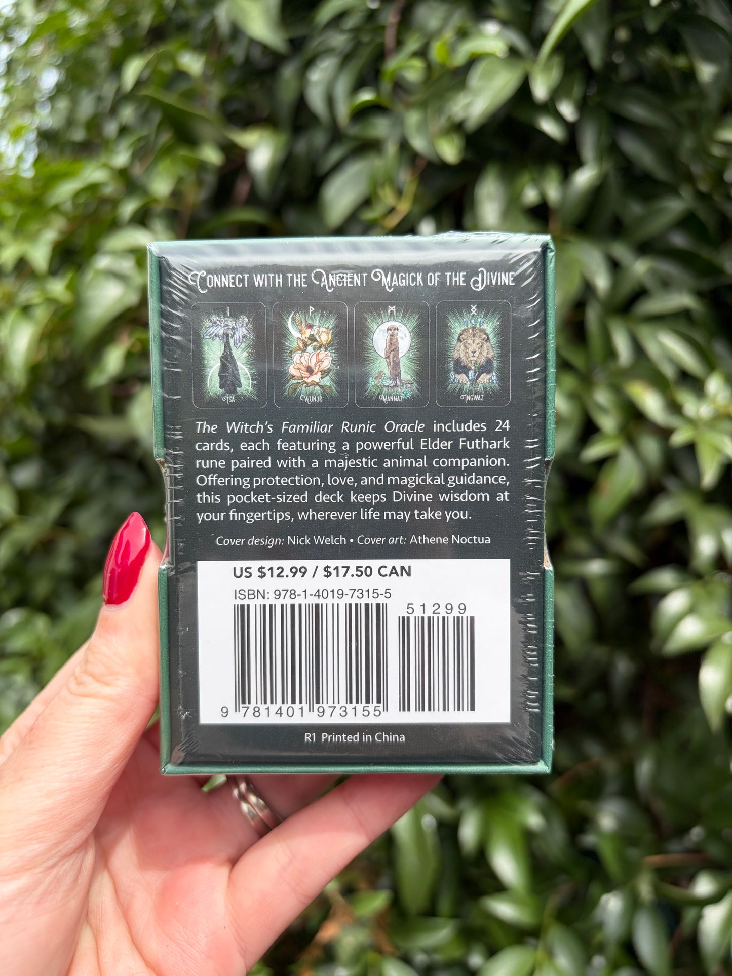 The Witchs Familiar Runic Oracle Cards | Pocket Edition