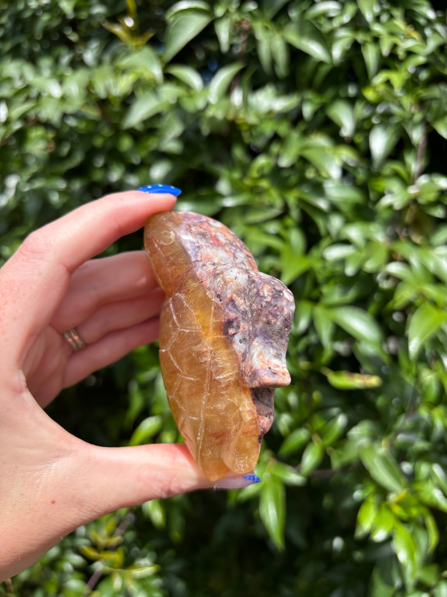 Yellow Fluorite Carved Turtle B