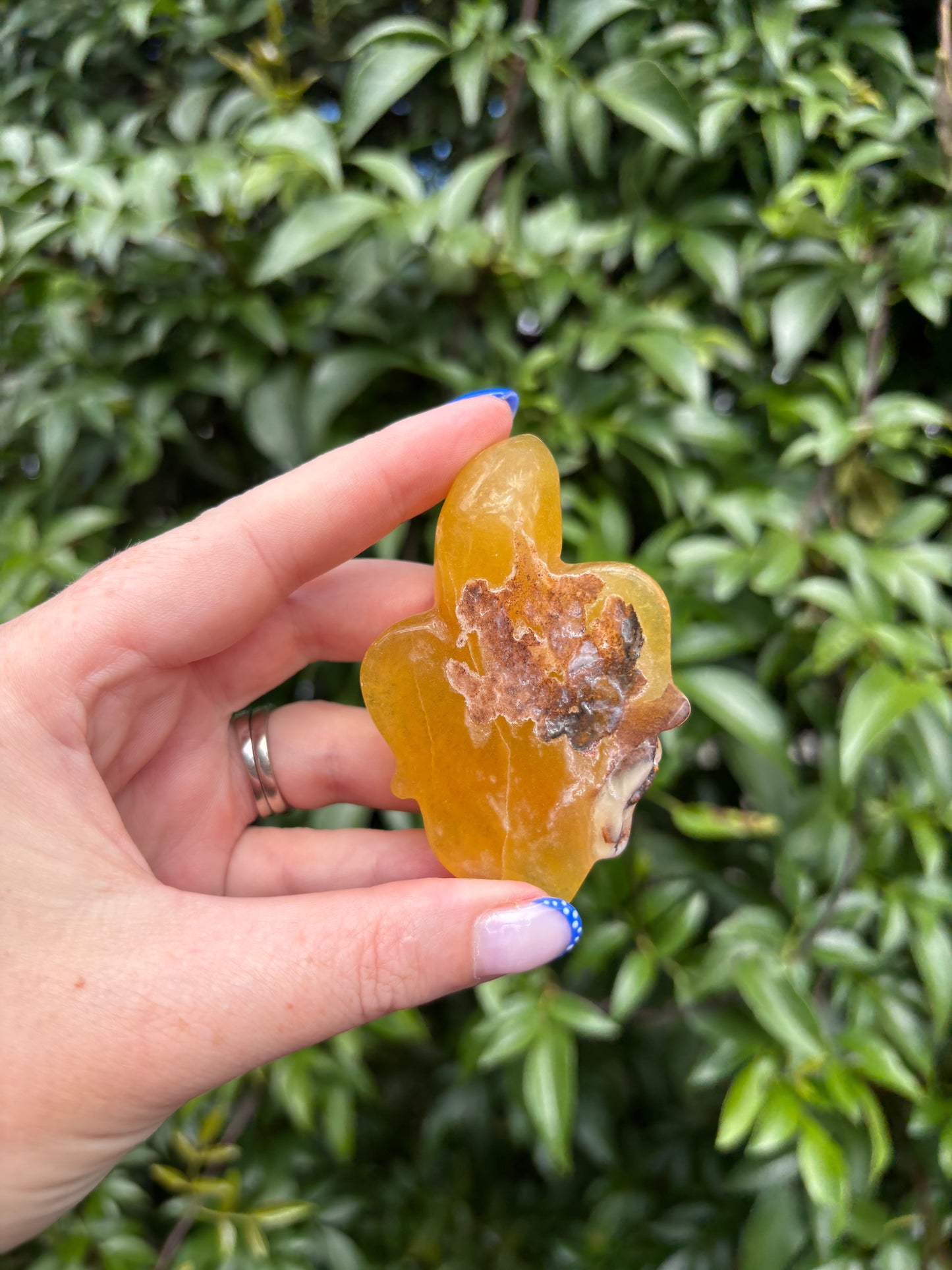 Yellow Fluorite Carved Turtle D