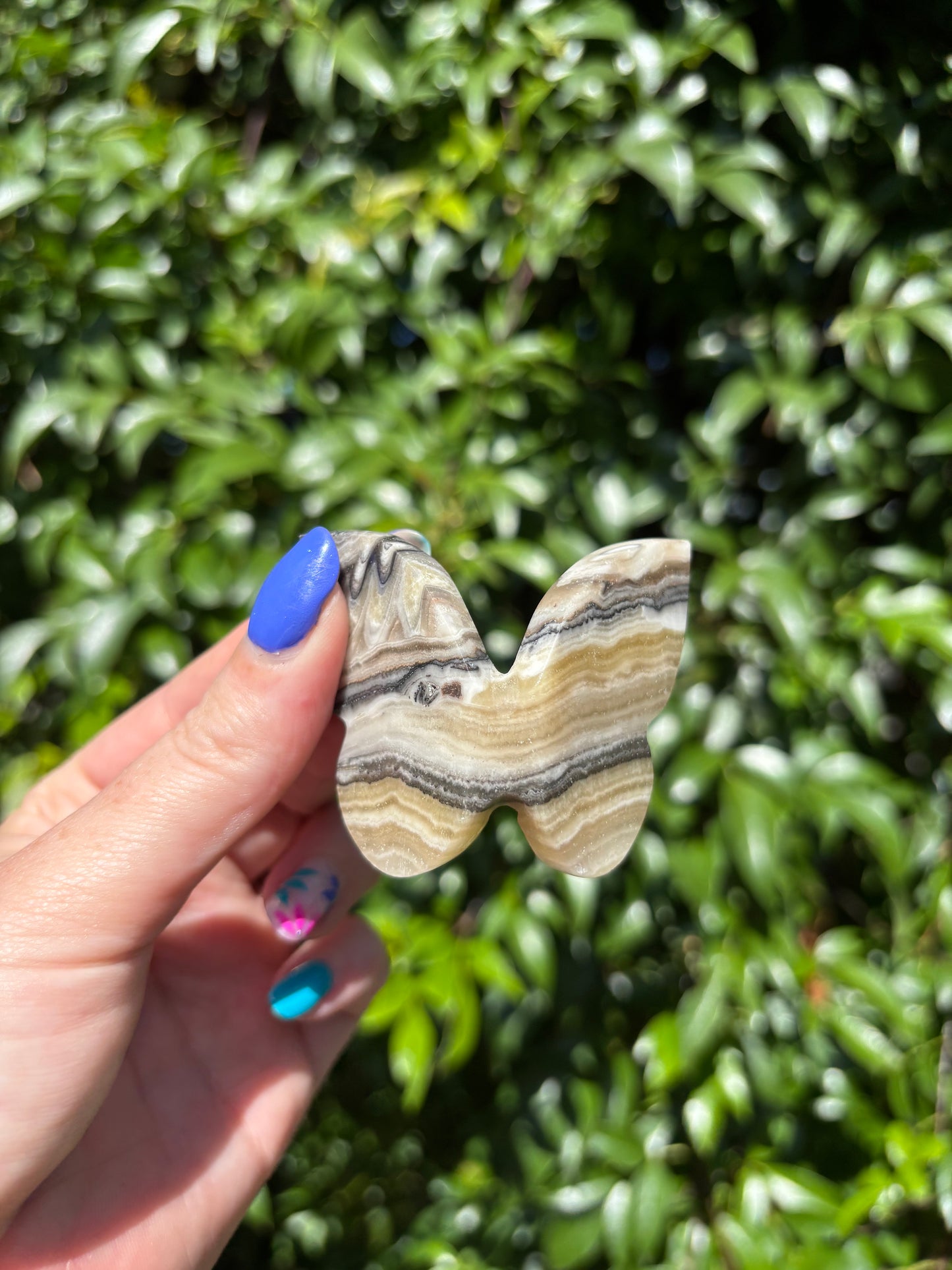 Zebra Calcite 3D Large Butterfly A